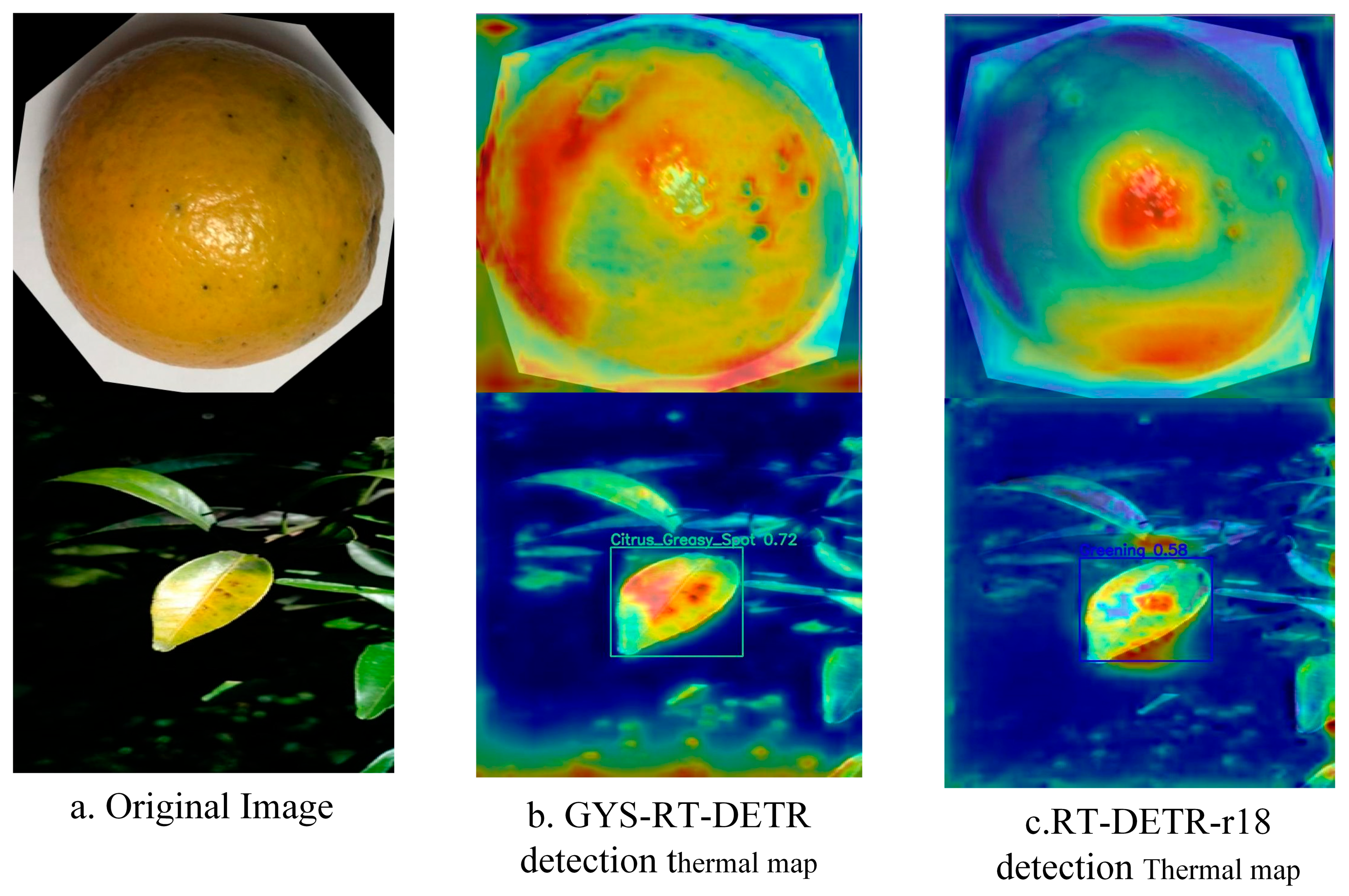 Agronomy 15 01515 g011