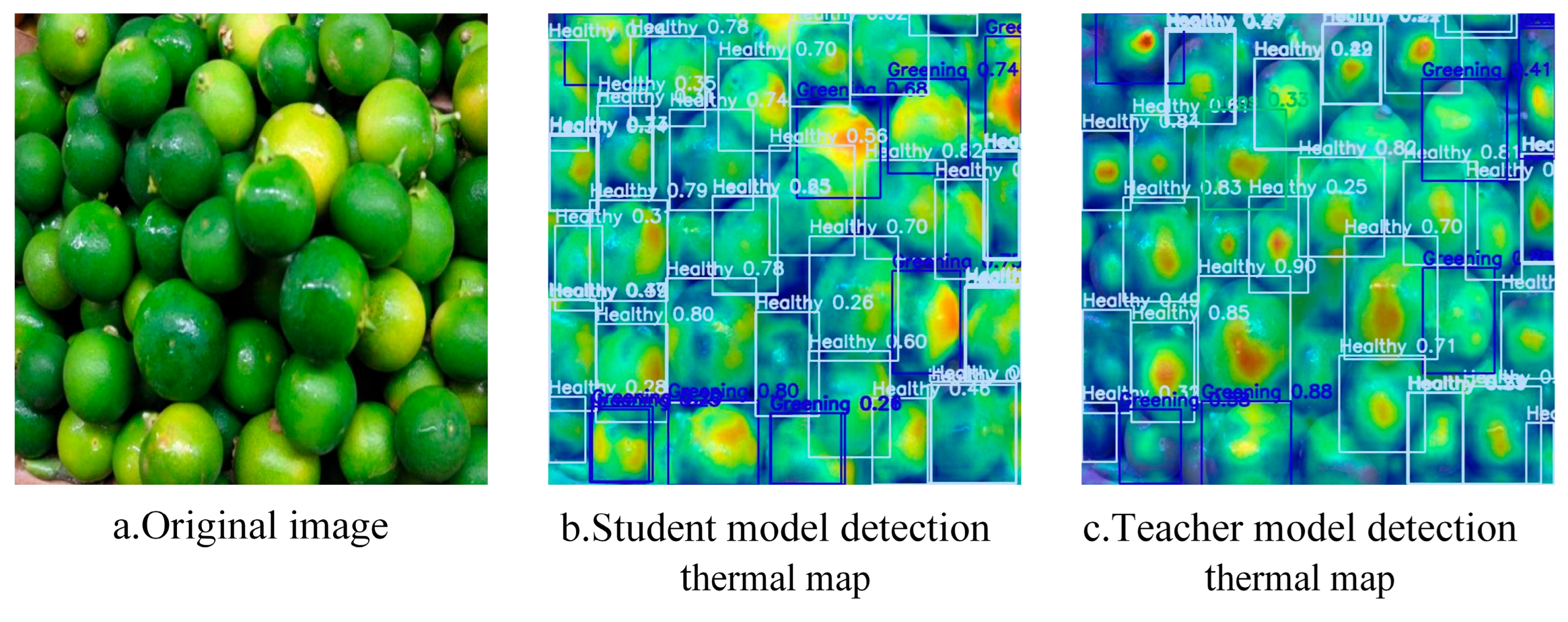 Agronomy 15 01515 g016