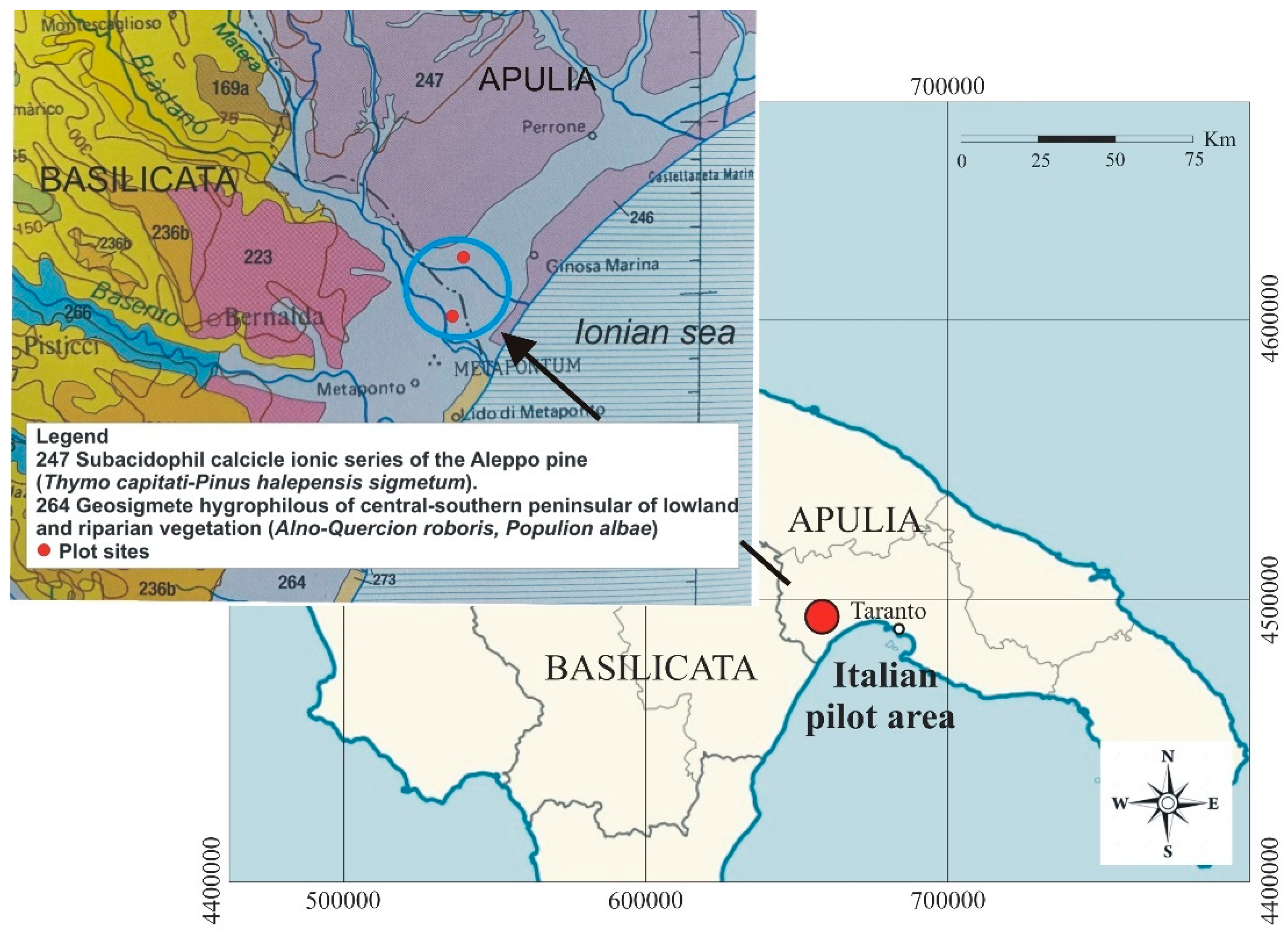 Agronomy 15 01517 g002