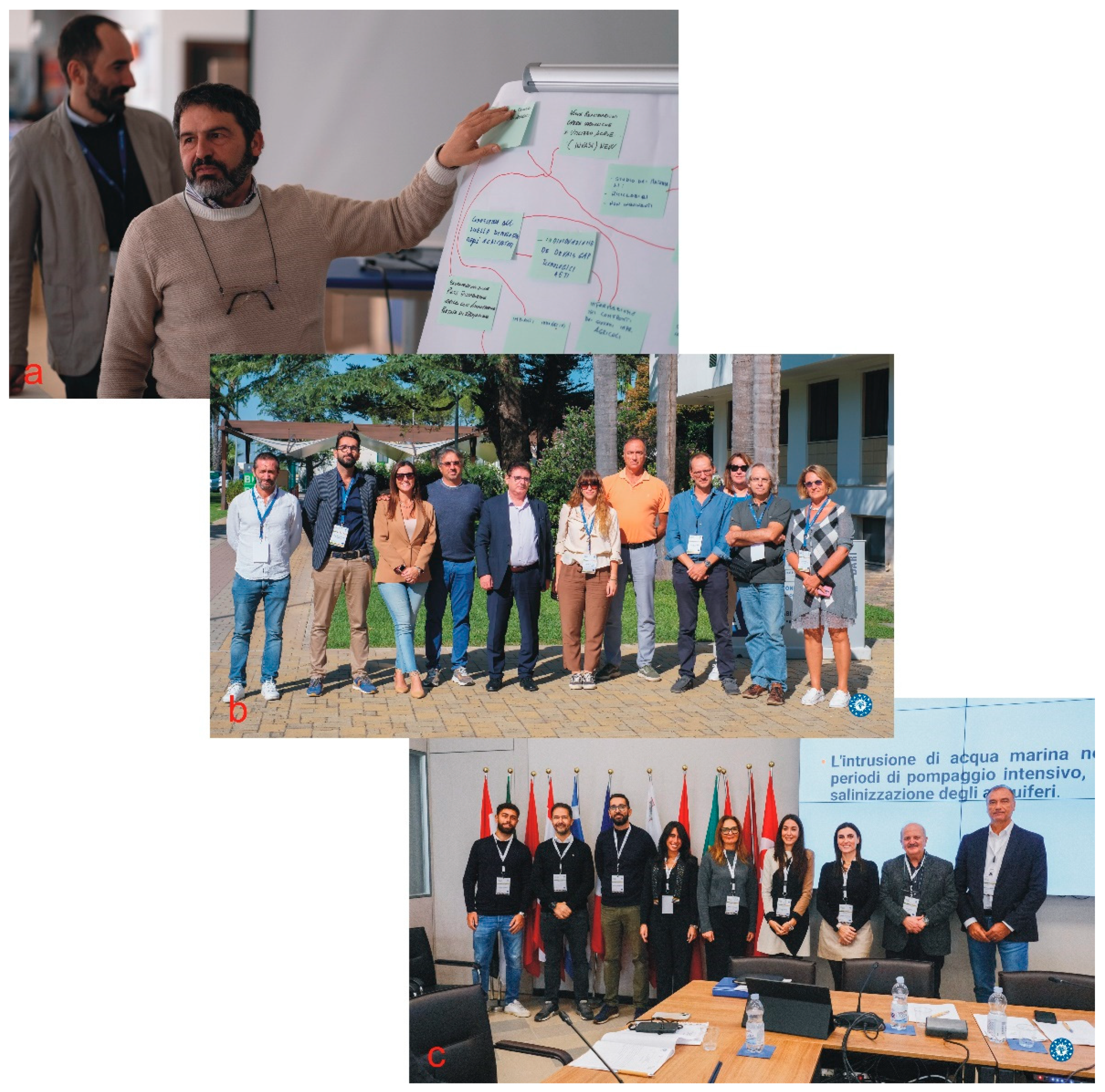 Agronomy 15 01517 g004