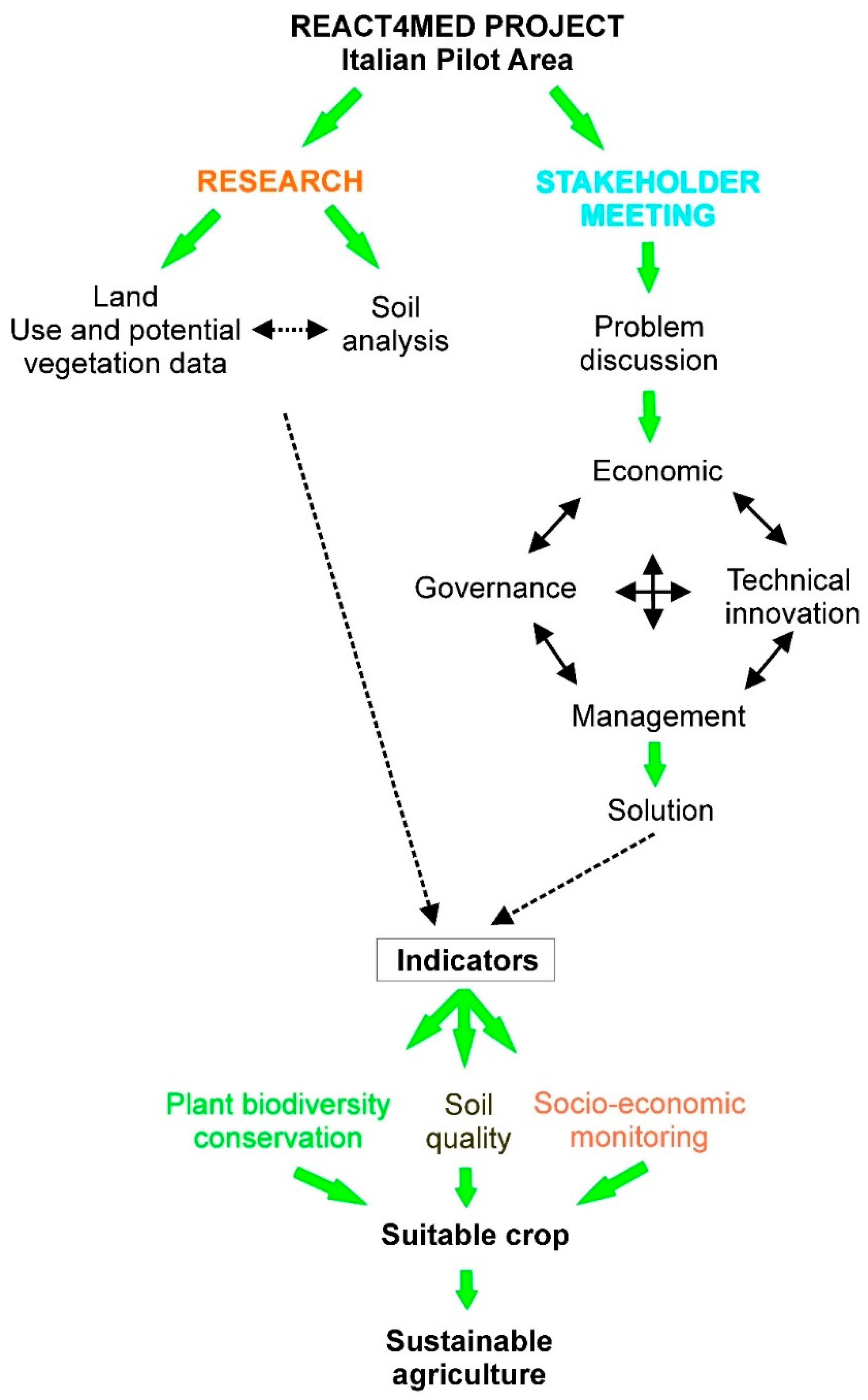 Agronomy 15 01517 g005