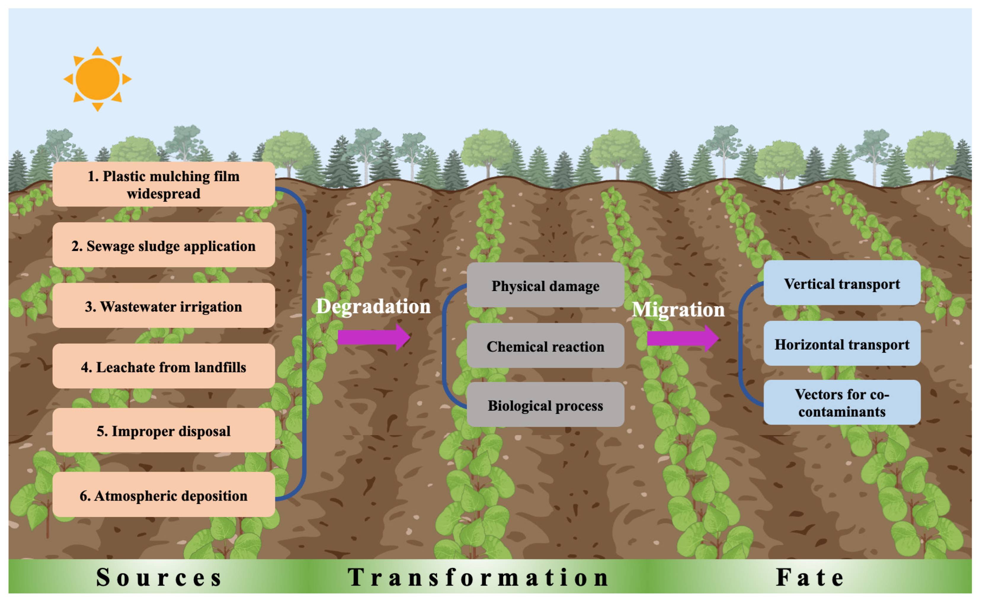 Agronomy 15 01519 g001