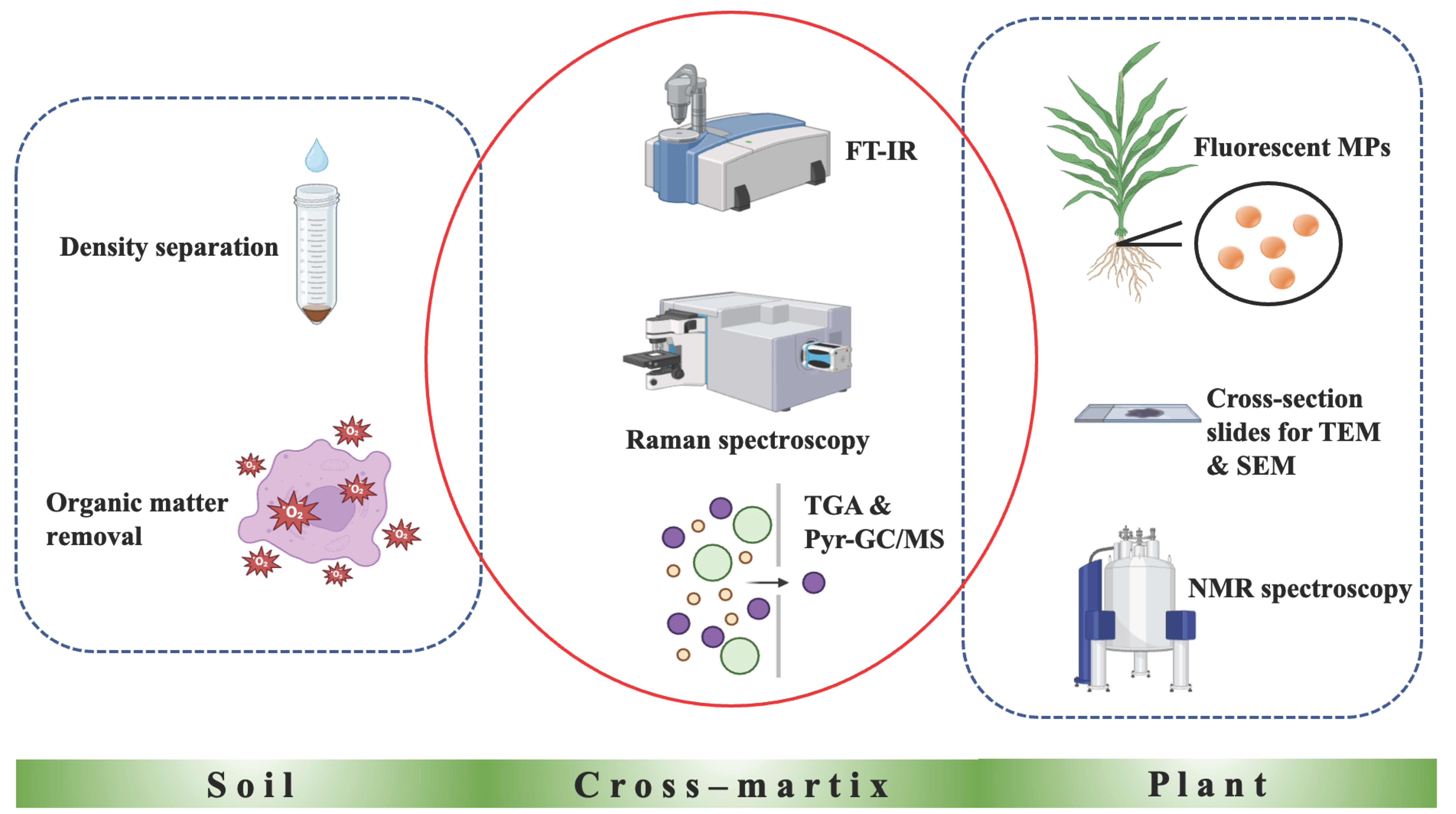 Agronomy 15 01519 g003