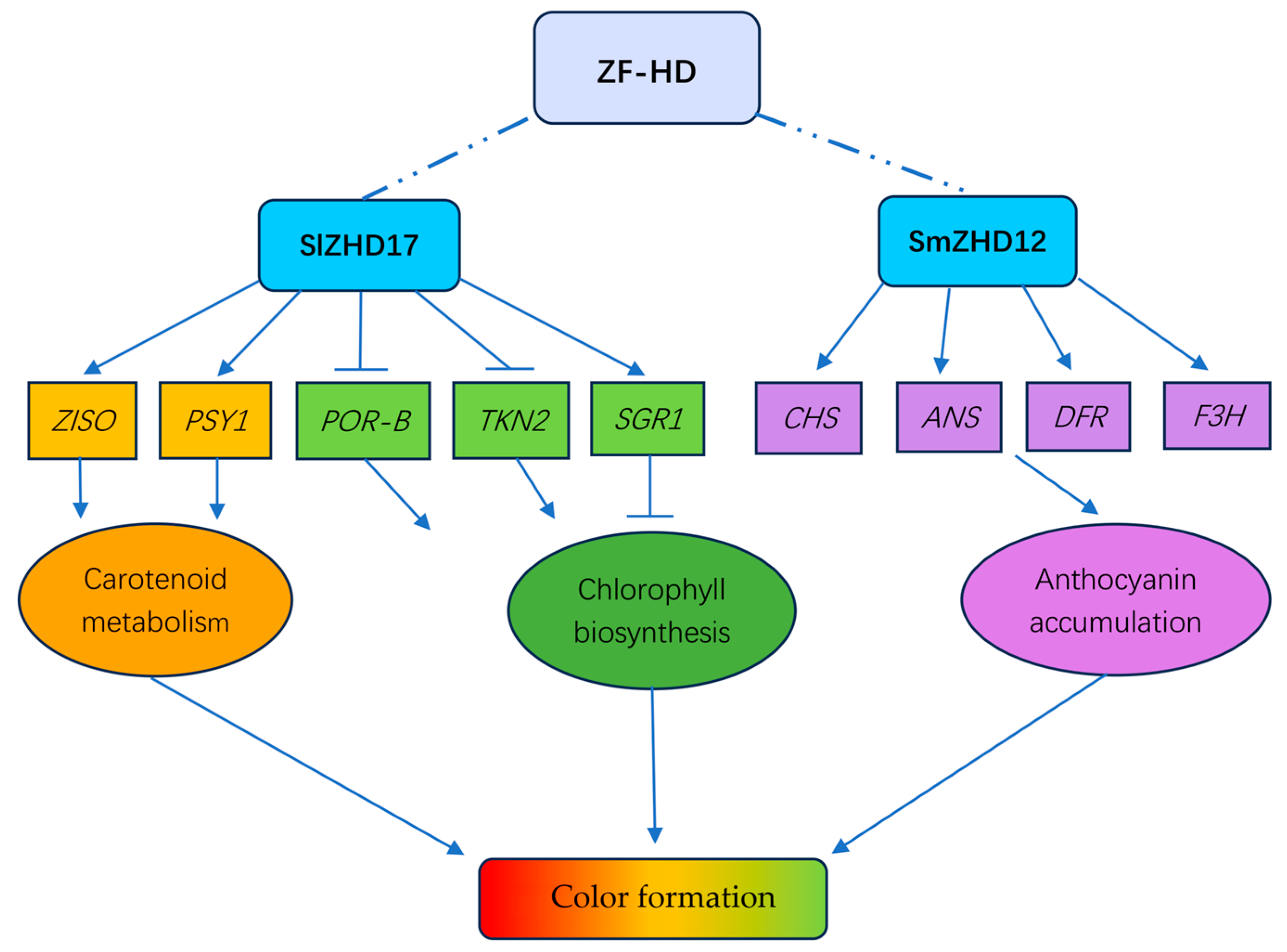 Agronomy 15 01522 g001