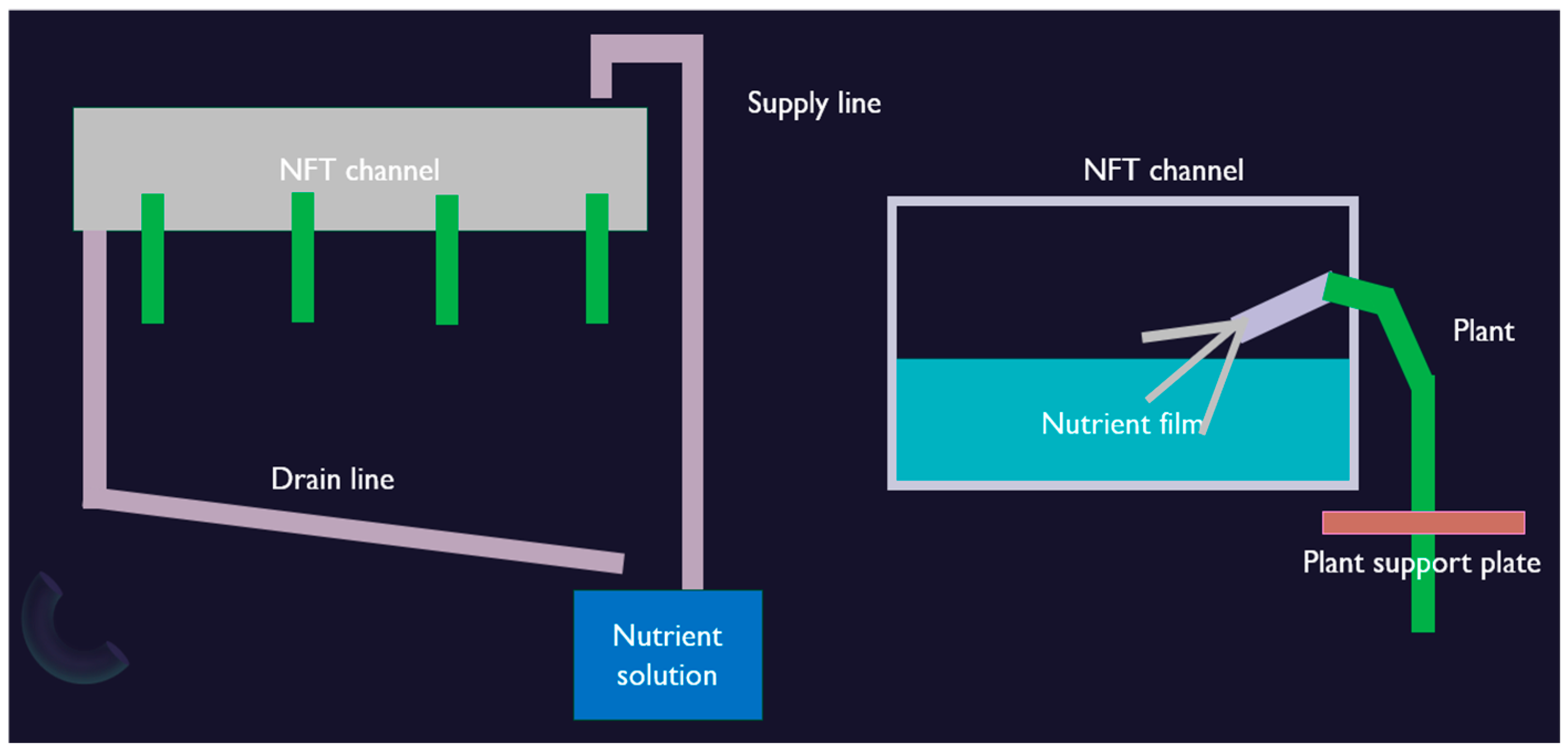 Agronomy 15 01524 g001