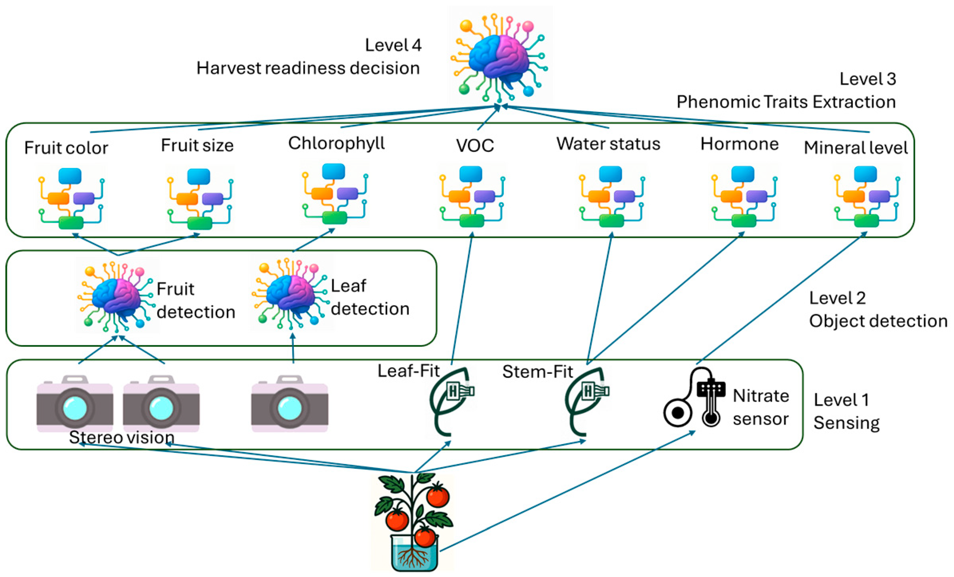 Agronomy 15 01524 g003