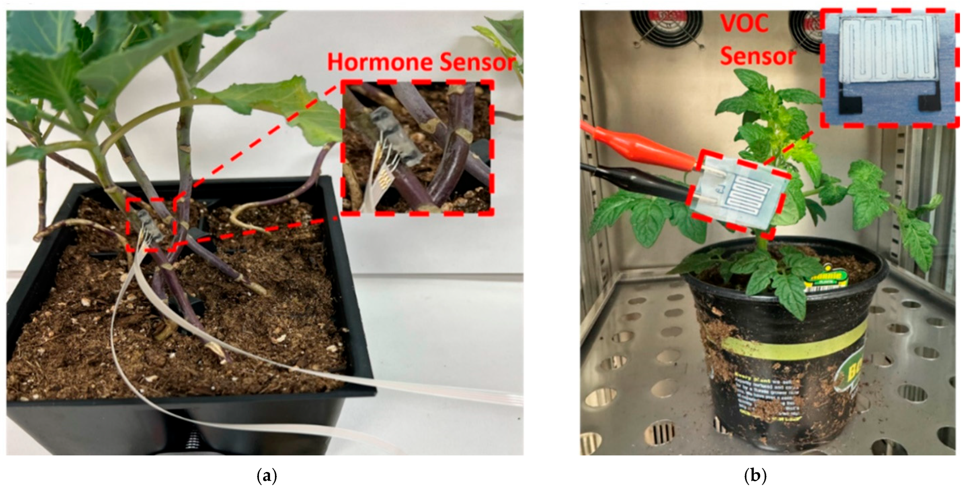 Agronomy 15 01524 g015