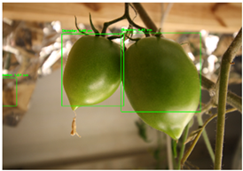 Agronomy 15 01524 i002