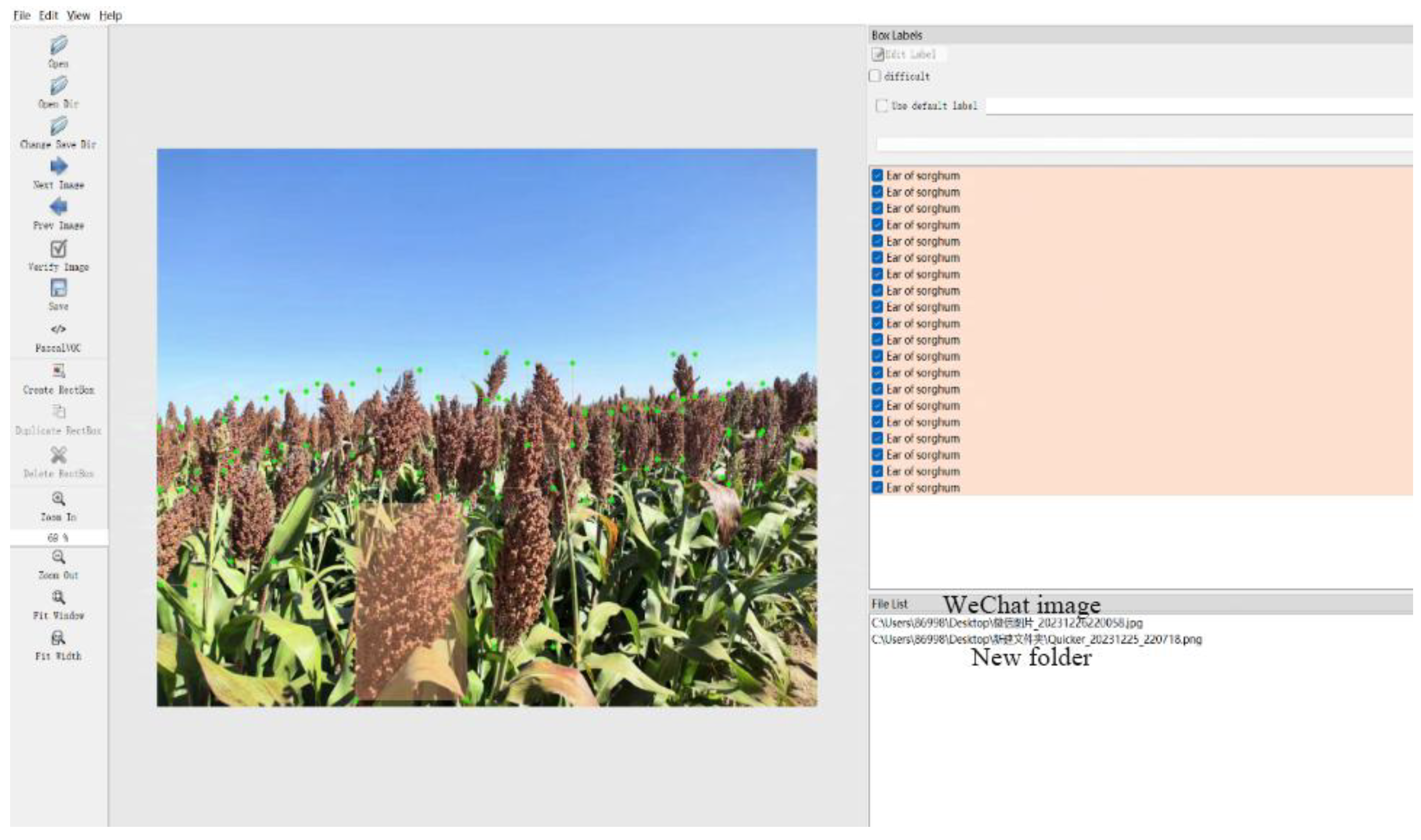 Agronomy 15 01526 g001