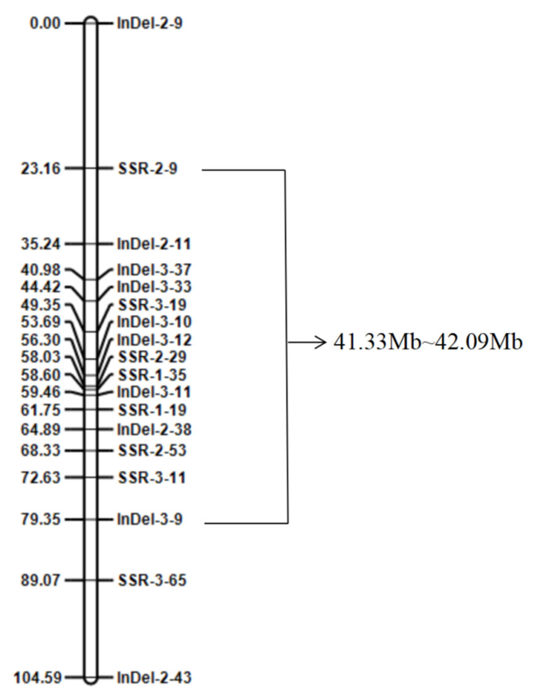 Agronomy 15 01527 g004
