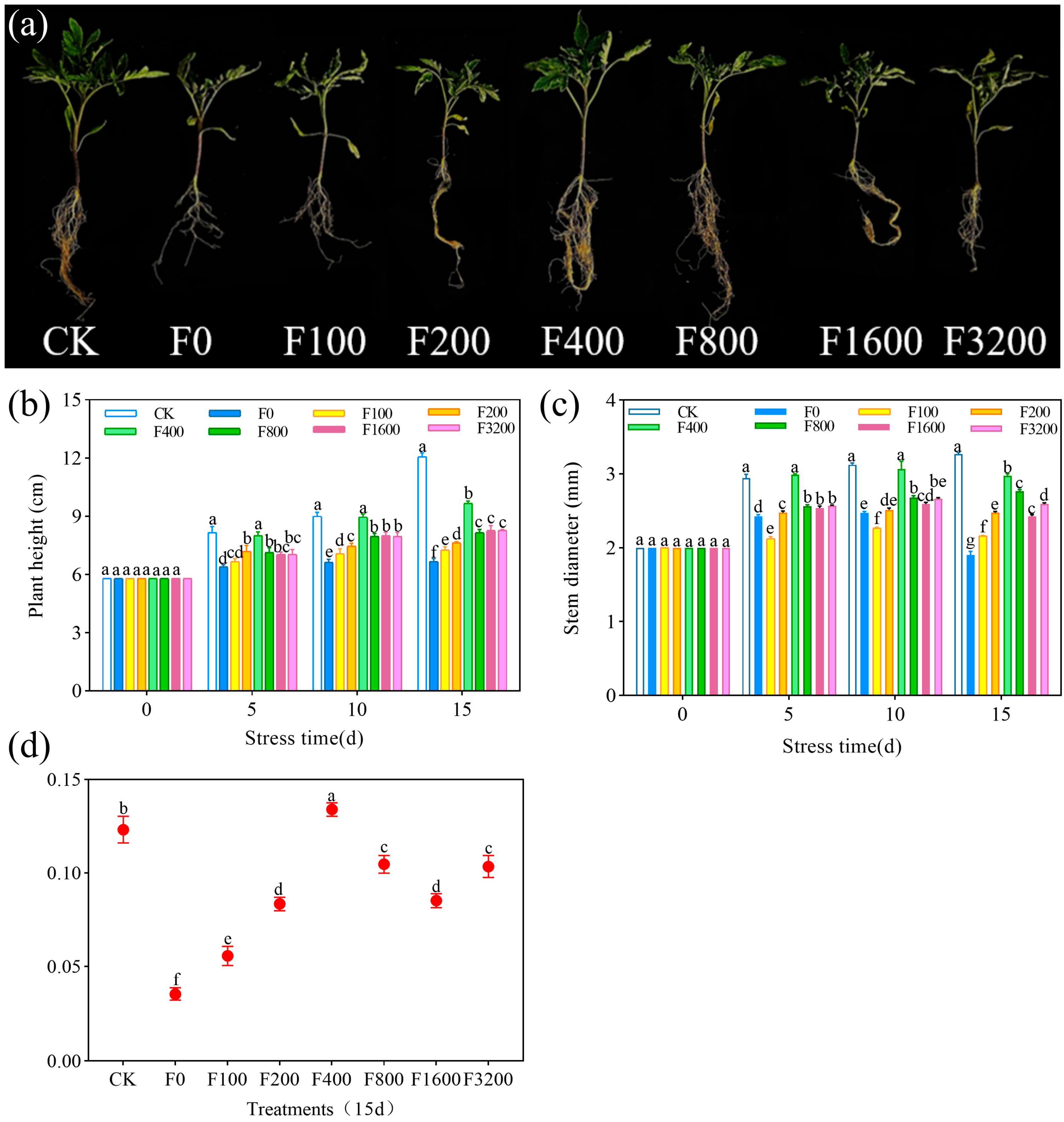 Agronomy 15 01528 g001