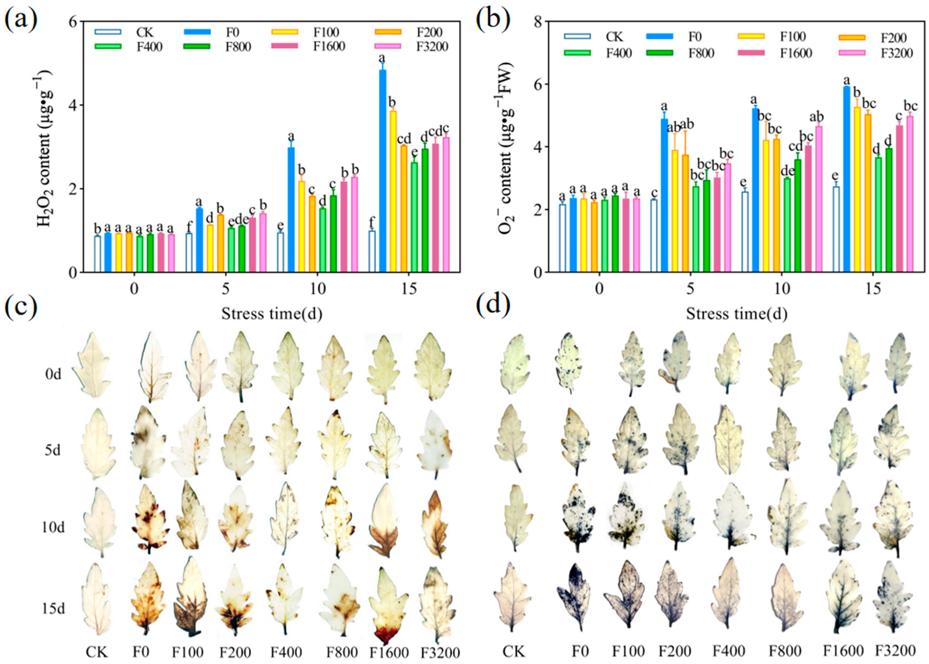 Agronomy 15 01528 g004