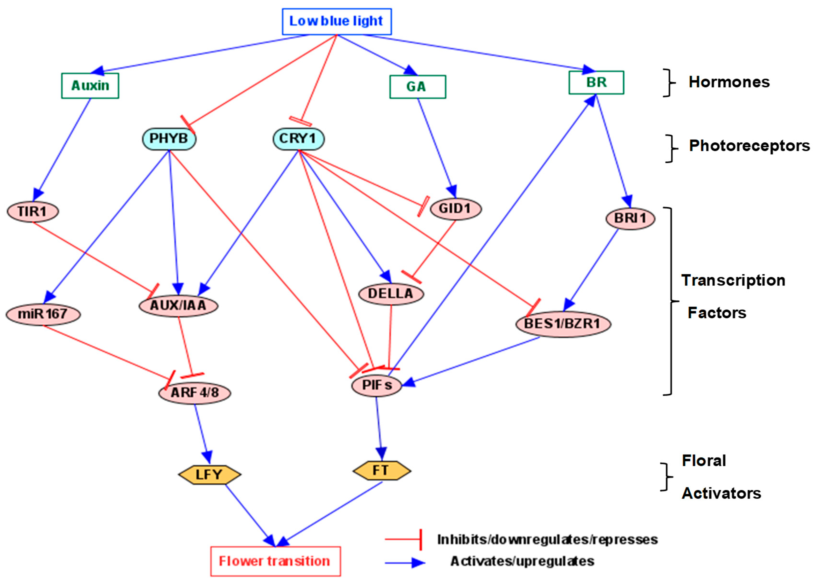 Agronomy 15 01534 g001 Agronomy 15 01534 g001