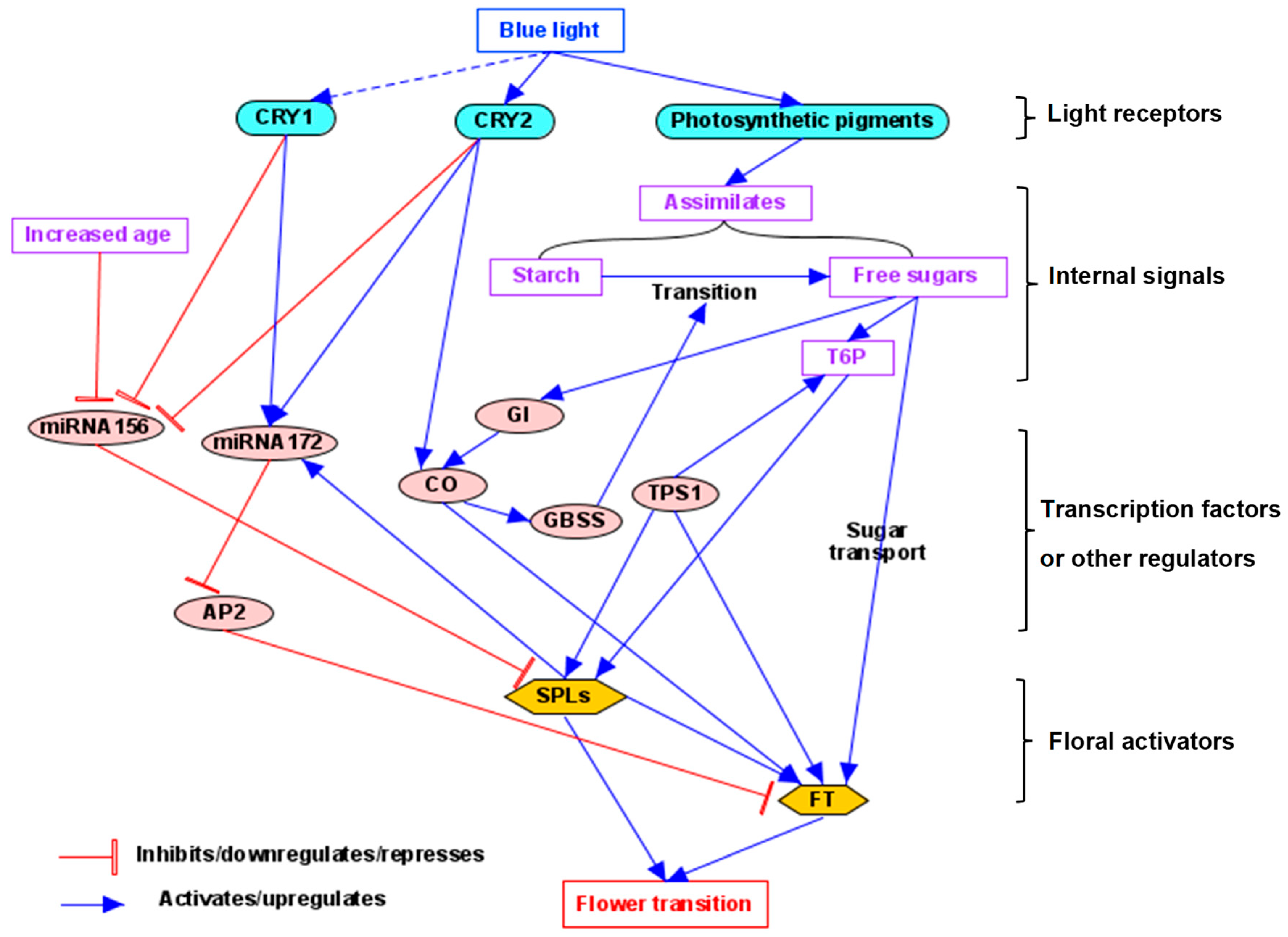 Agronomy 15 01534 g002 Agronomy 15 01534 g002