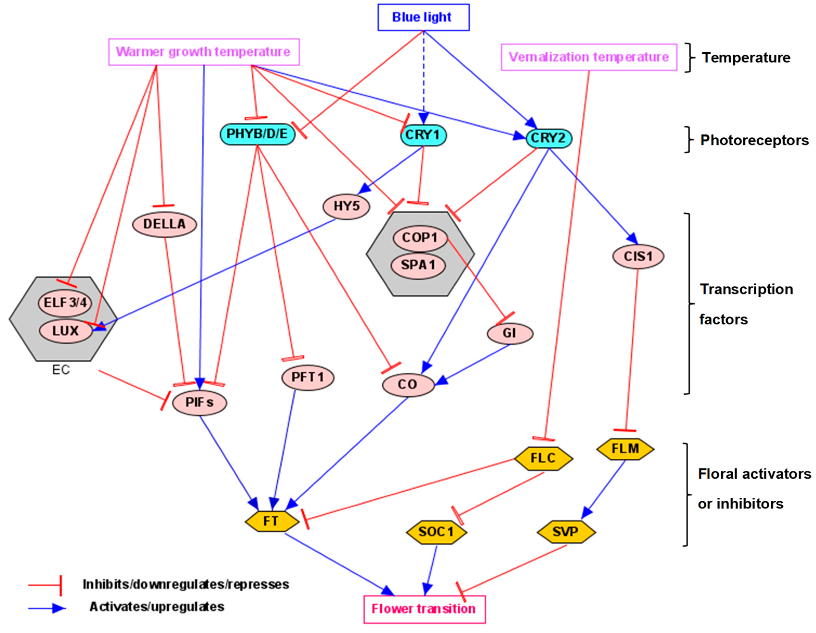 Agronomy 15 01534 g004 Agronomy 15 01534 g004