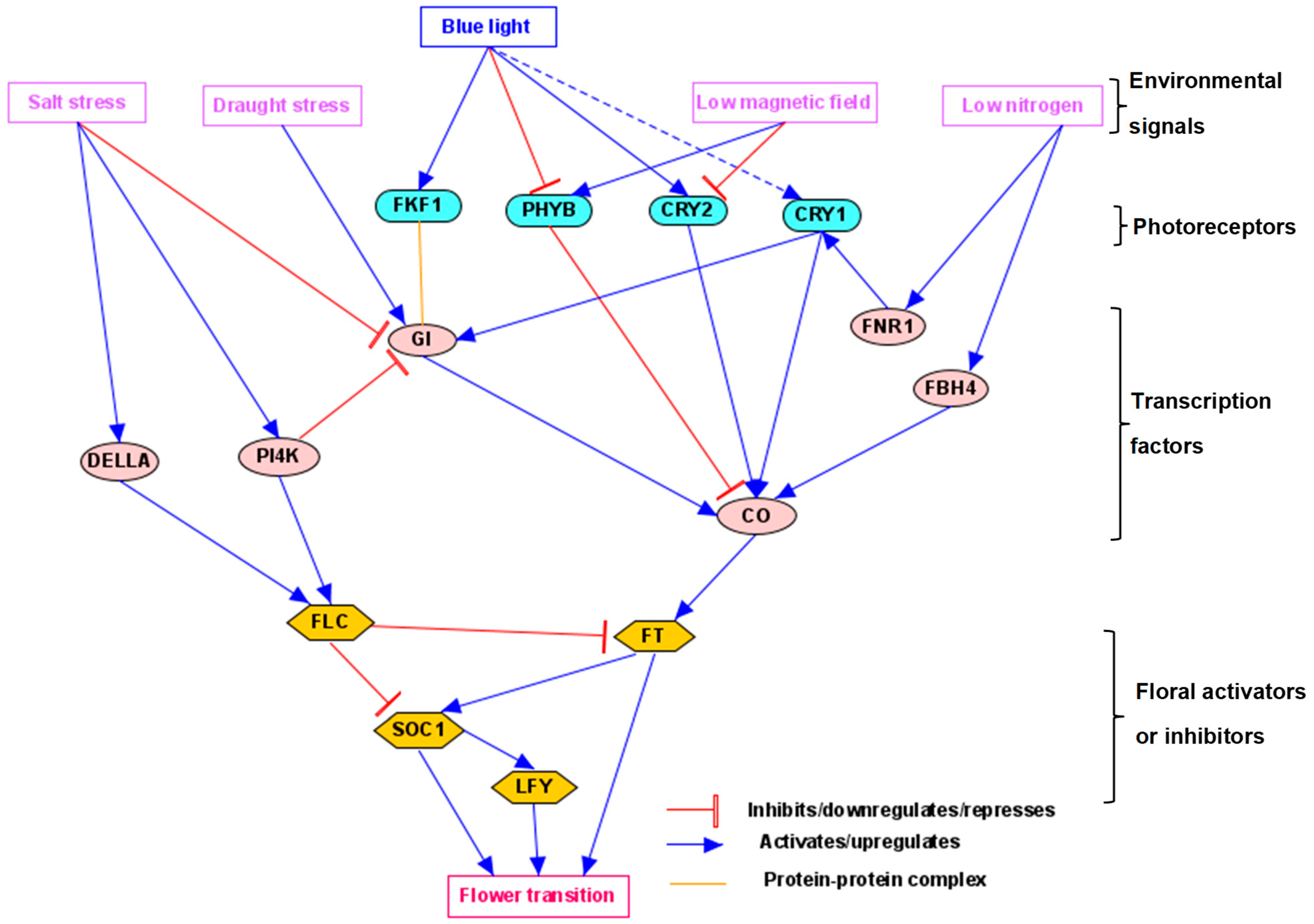 Agronomy 15 01534 g005 Agronomy 15 01534 g005