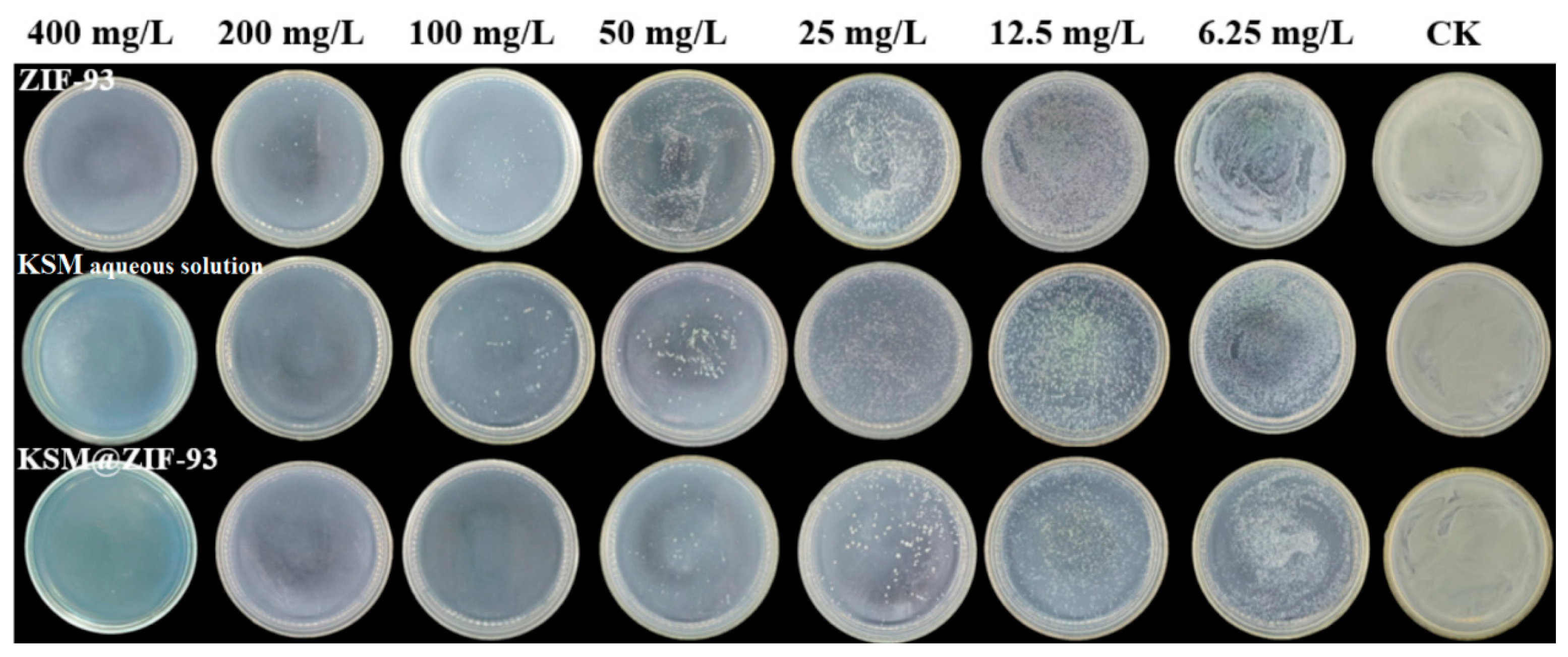 Agronomy 15 01535 g006