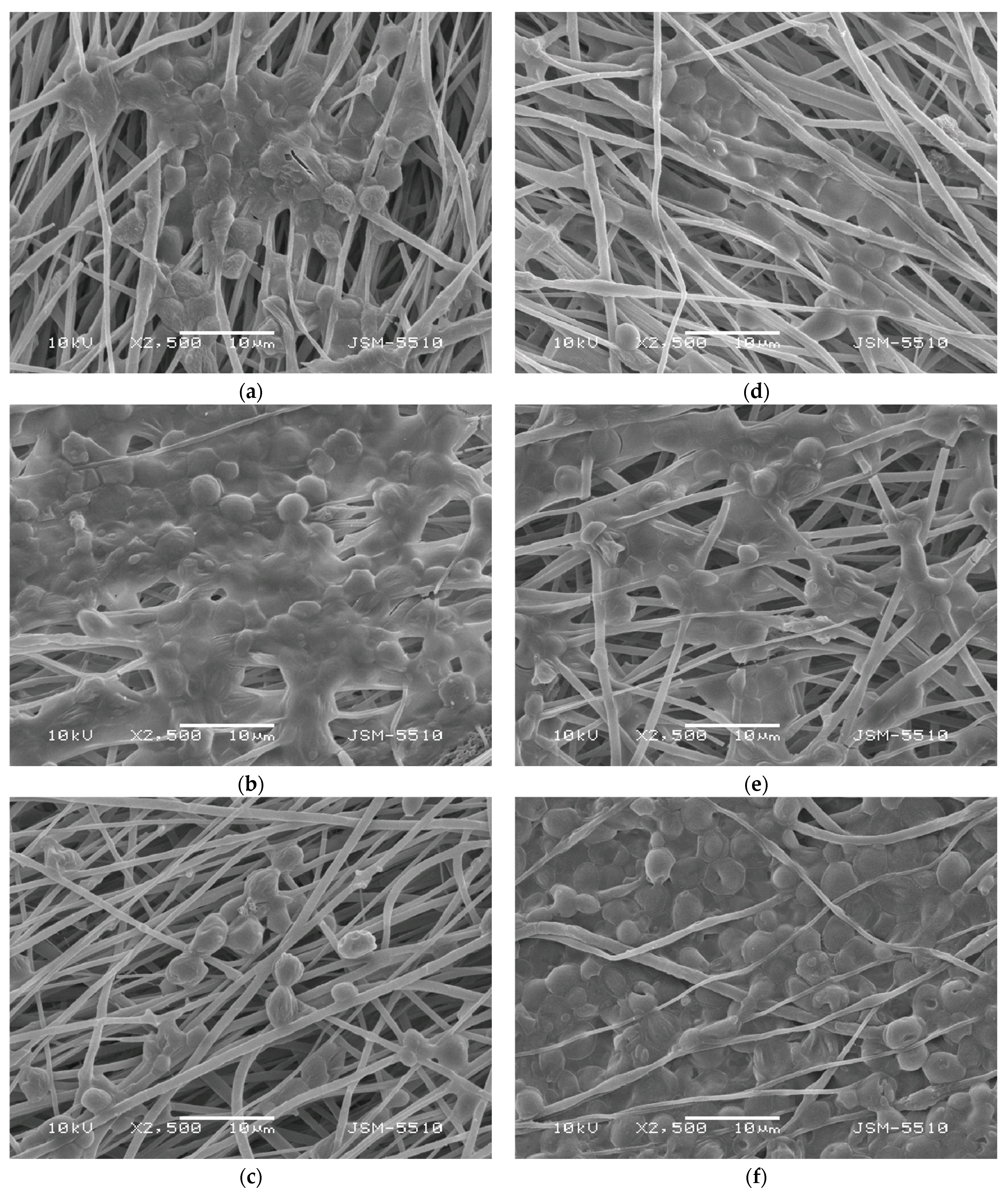 Agronomy 15 01541 g002