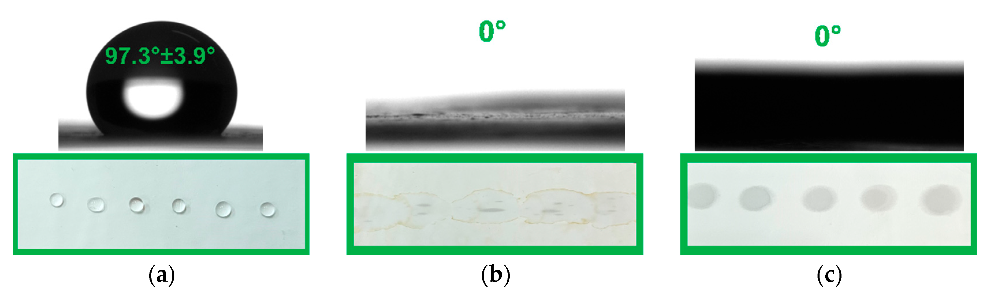 Agronomy 15 01541 g003