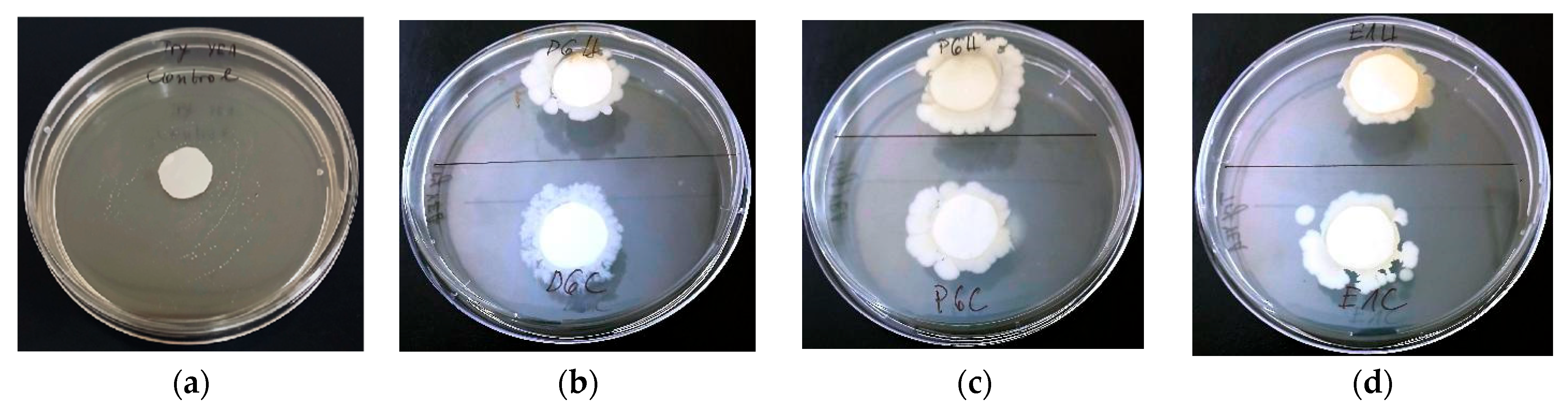 Agronomy 15 01541 g004