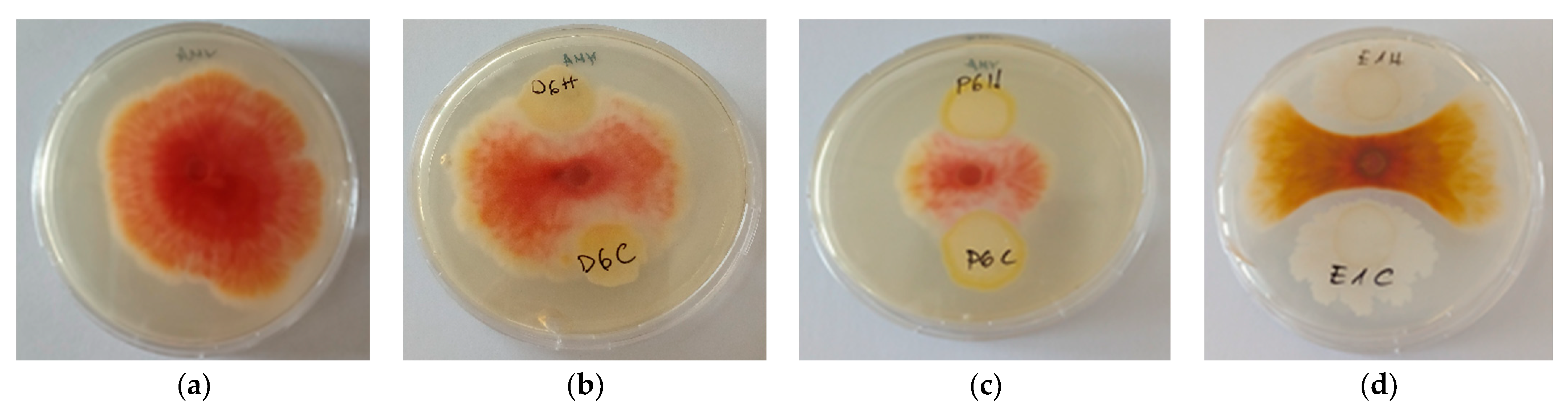 Agronomy 15 01541 g005