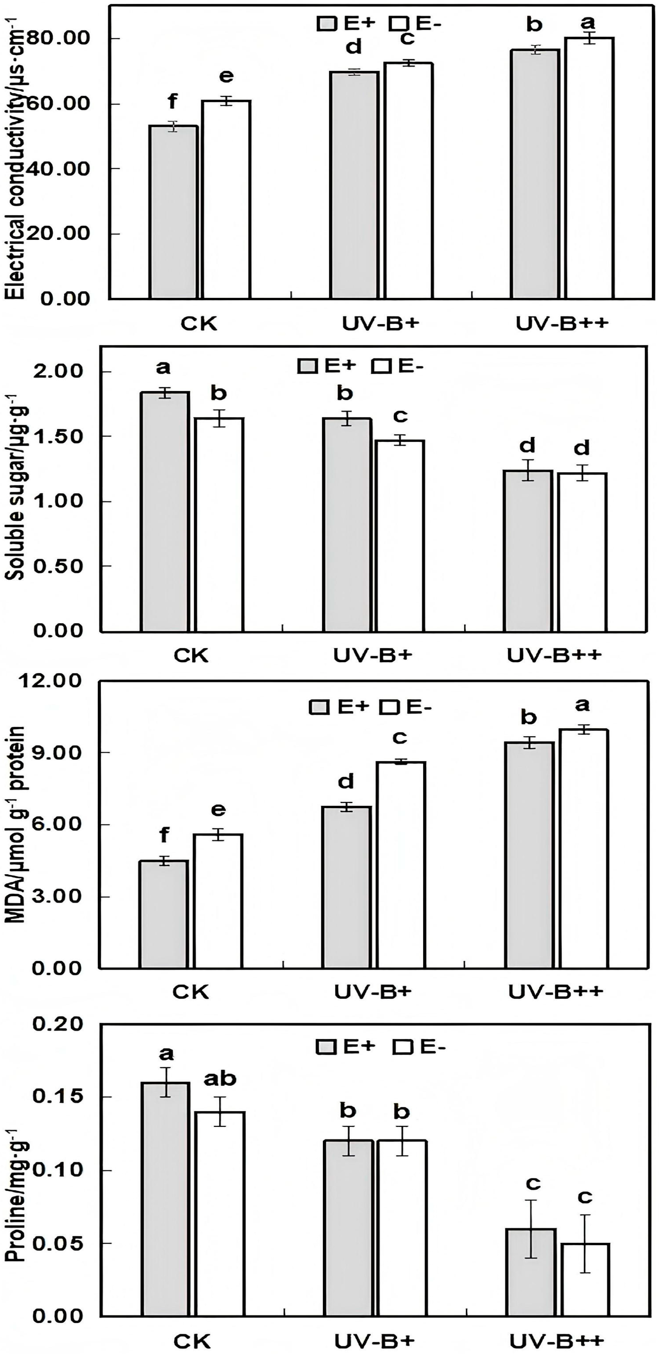 Agronomy 15 01546 g003