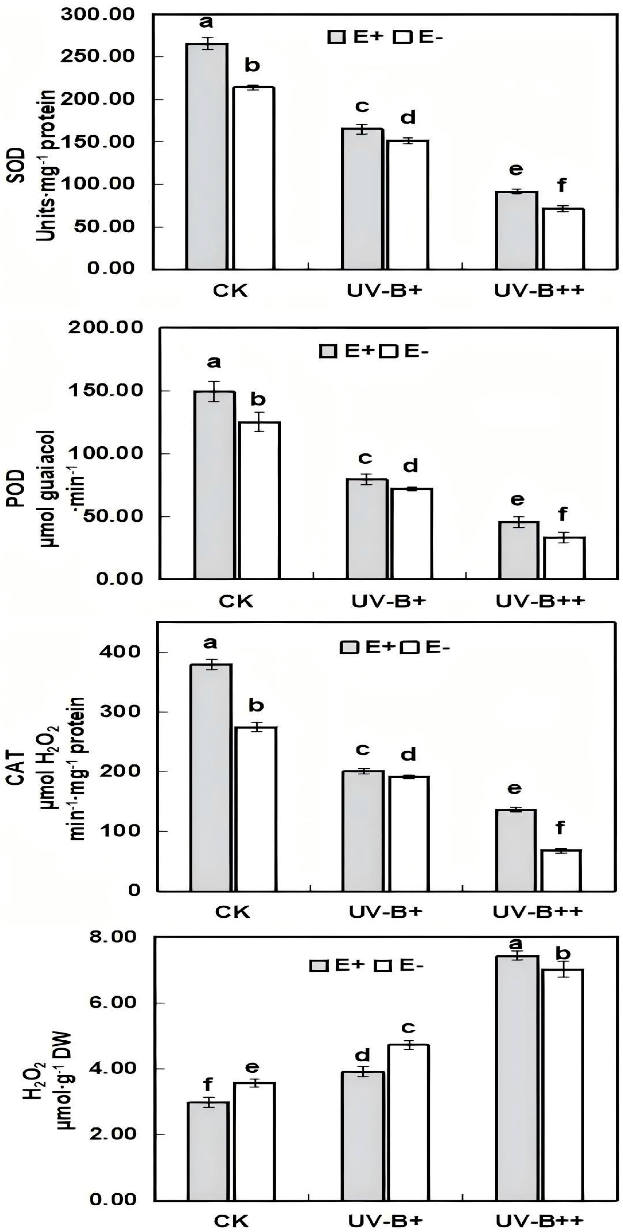 Agronomy 15 01546 g004