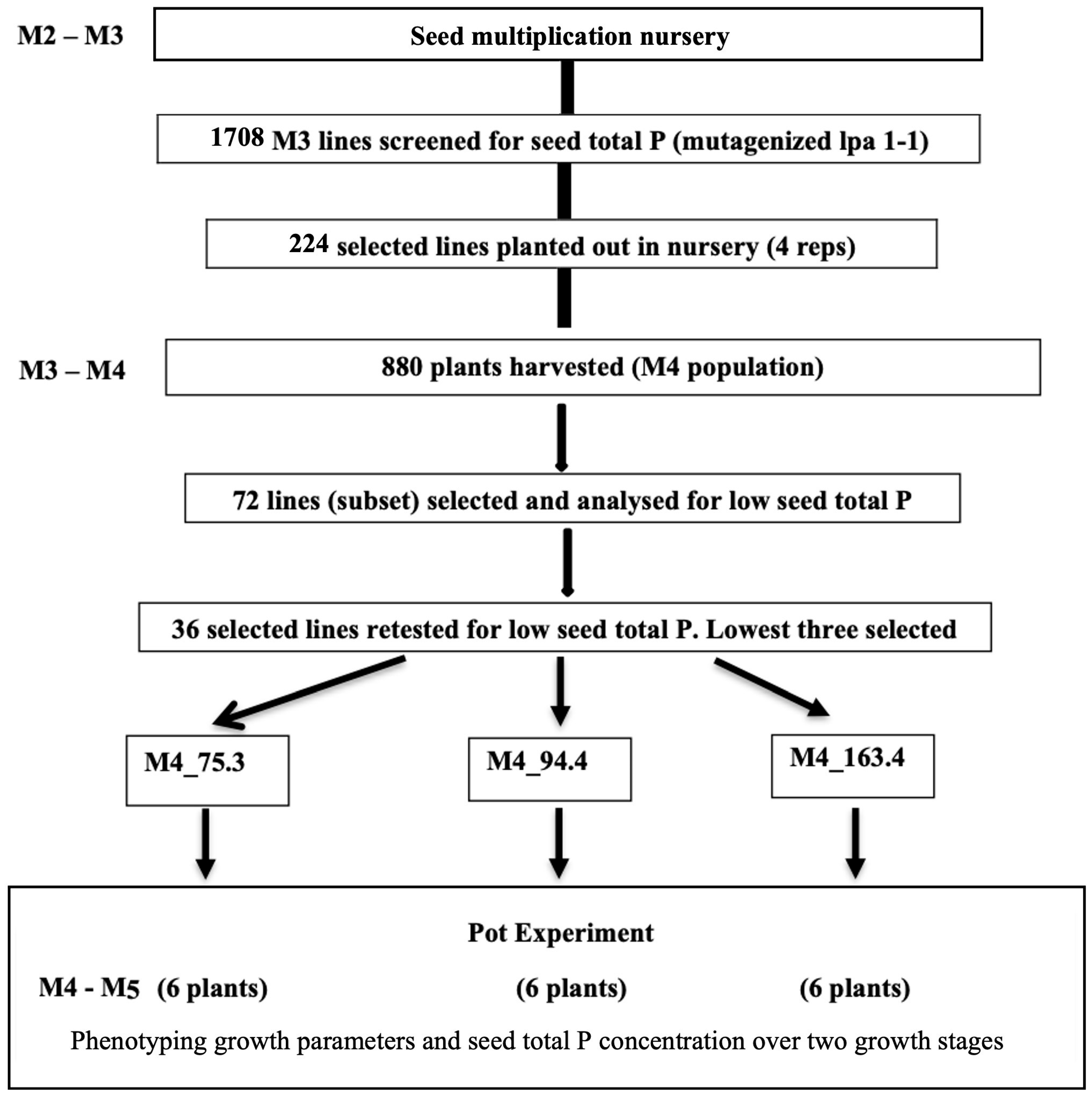 Agronomy 15 01550 g001