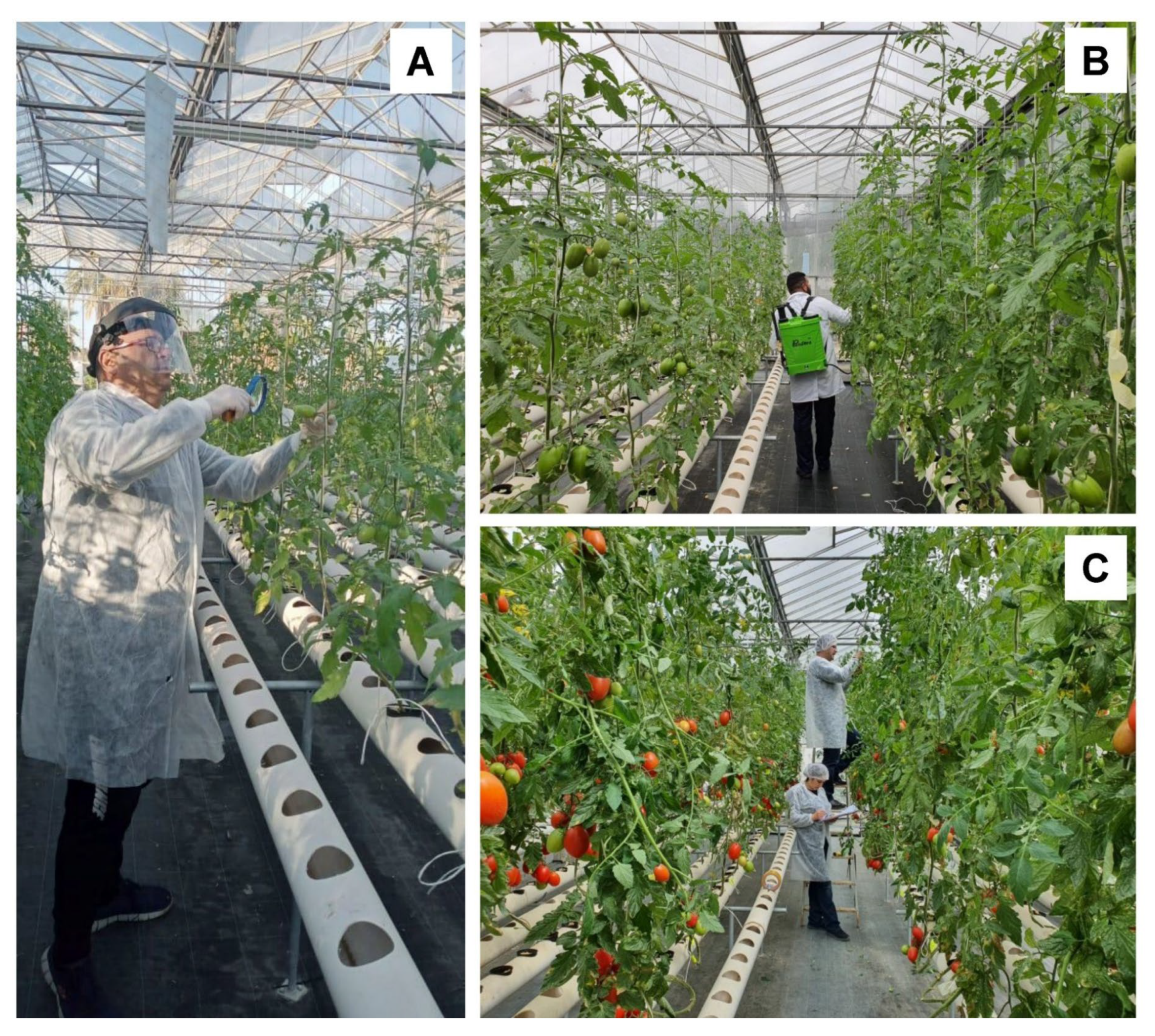 Agronomy 15 01553 g003