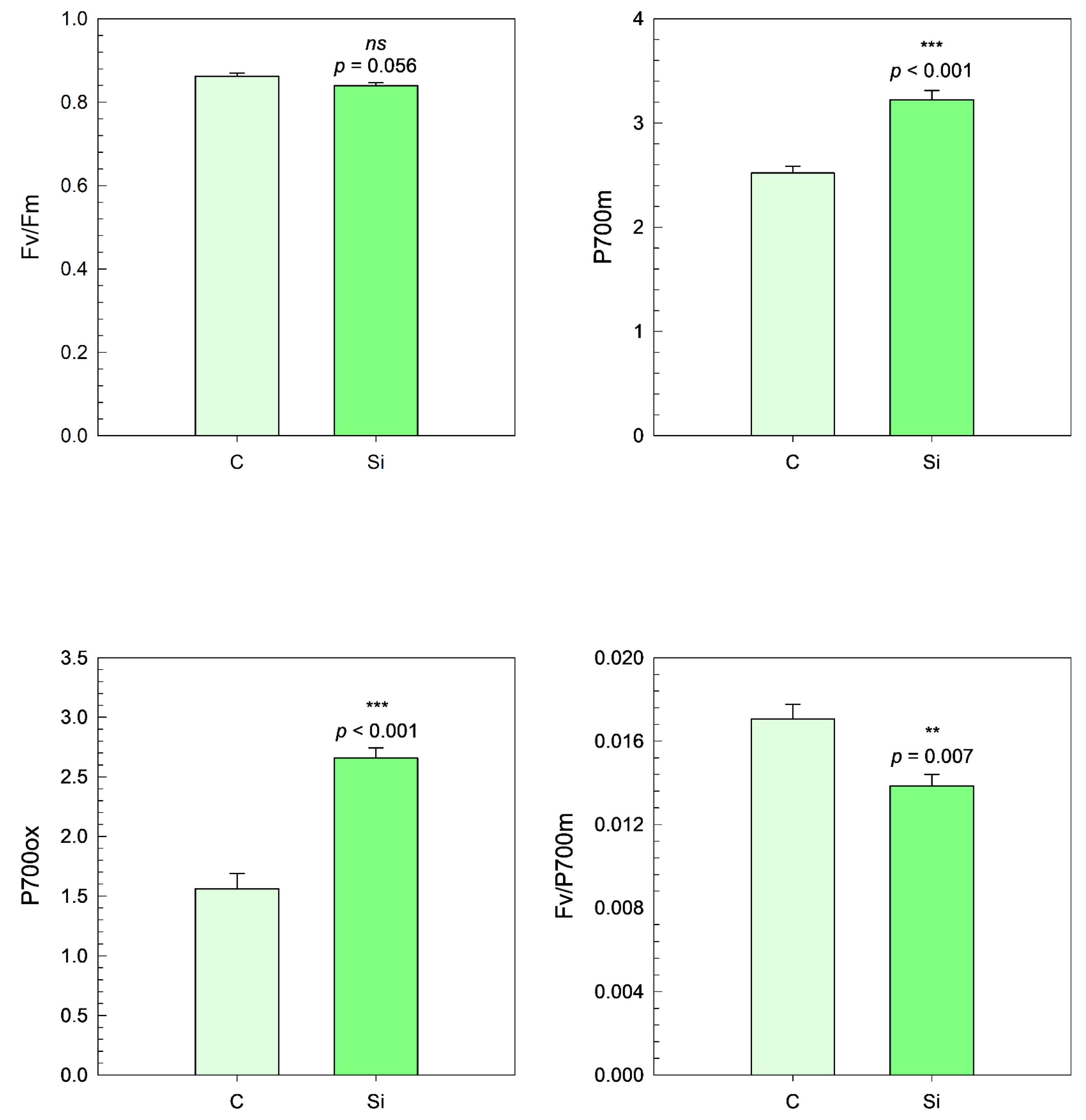 Agronomy 15 01553 g011