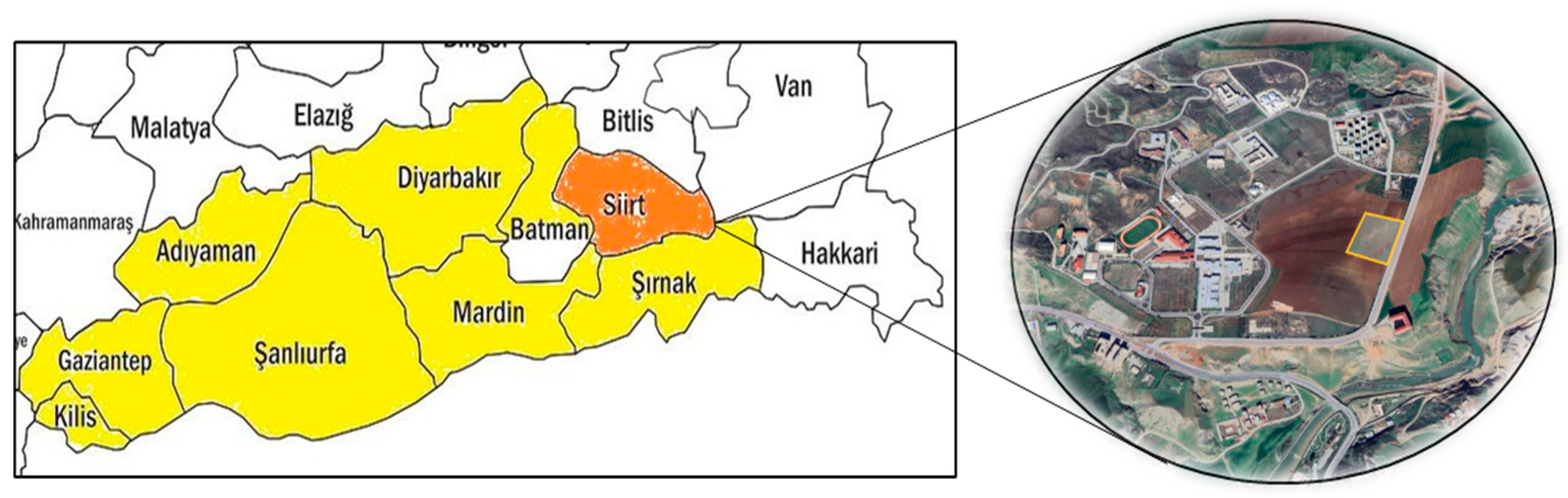 Agronomy 15 01554 g001