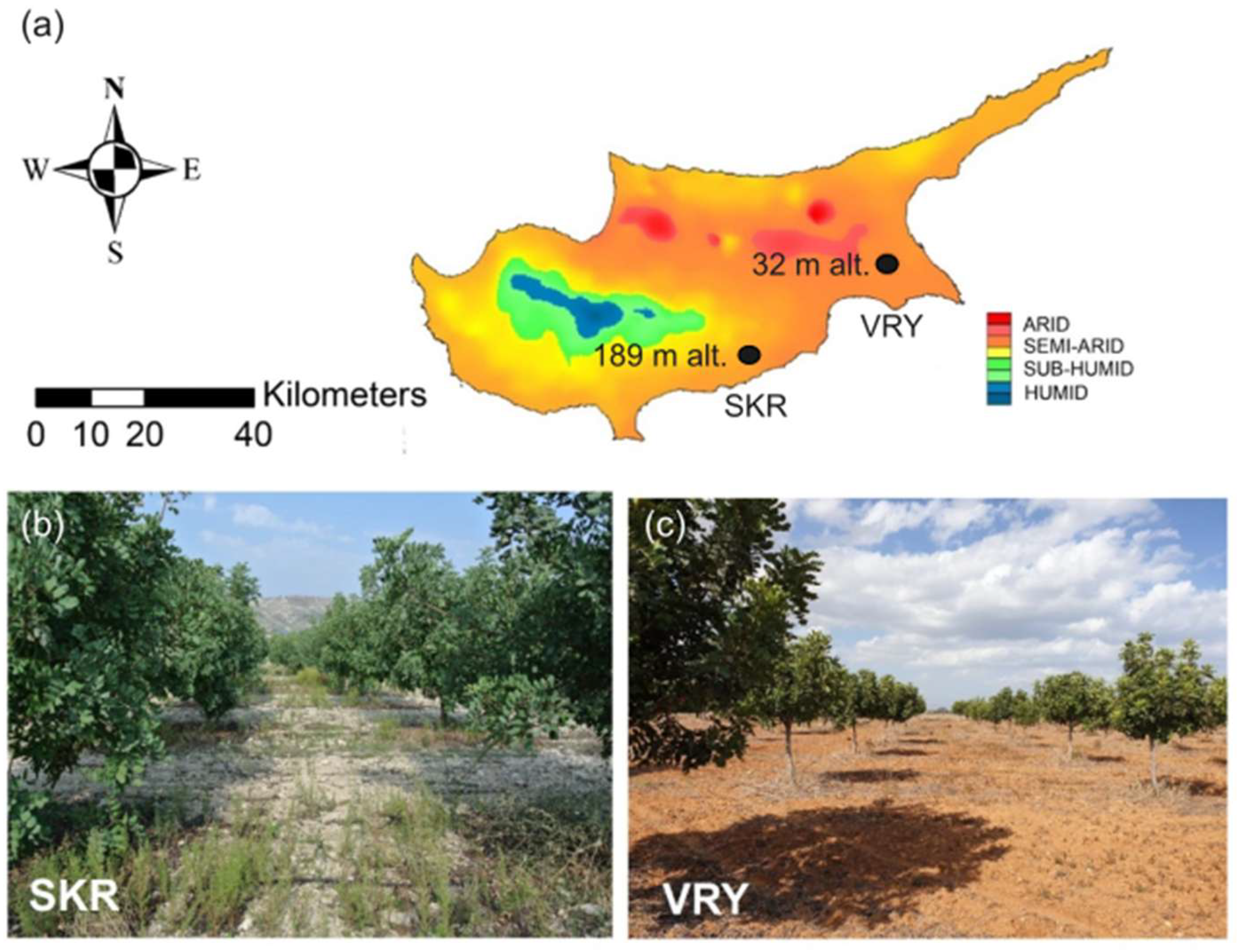 Agronomy 15 01560 g001