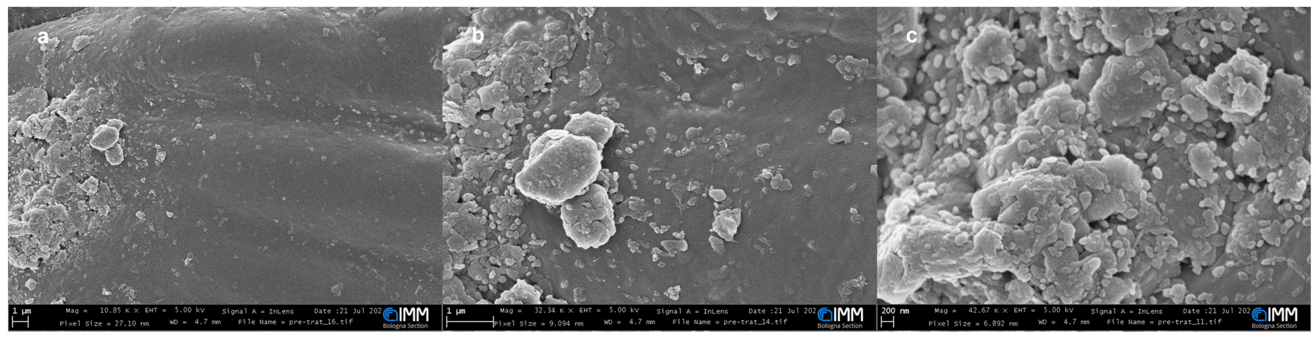 Agronomy 15 01563 g004 Agronomy 15 01563 g004