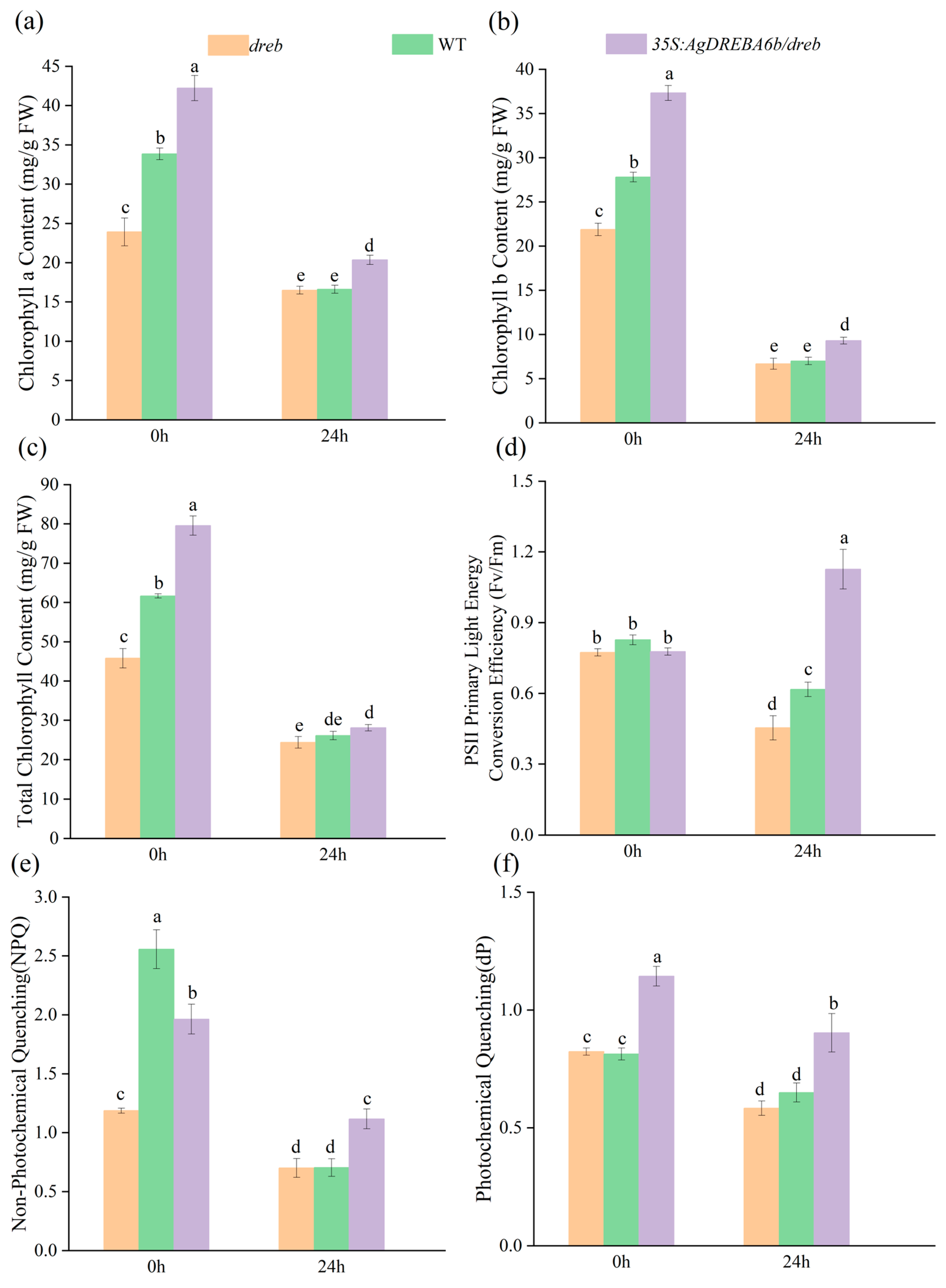 Agronomy 15 01565 g004