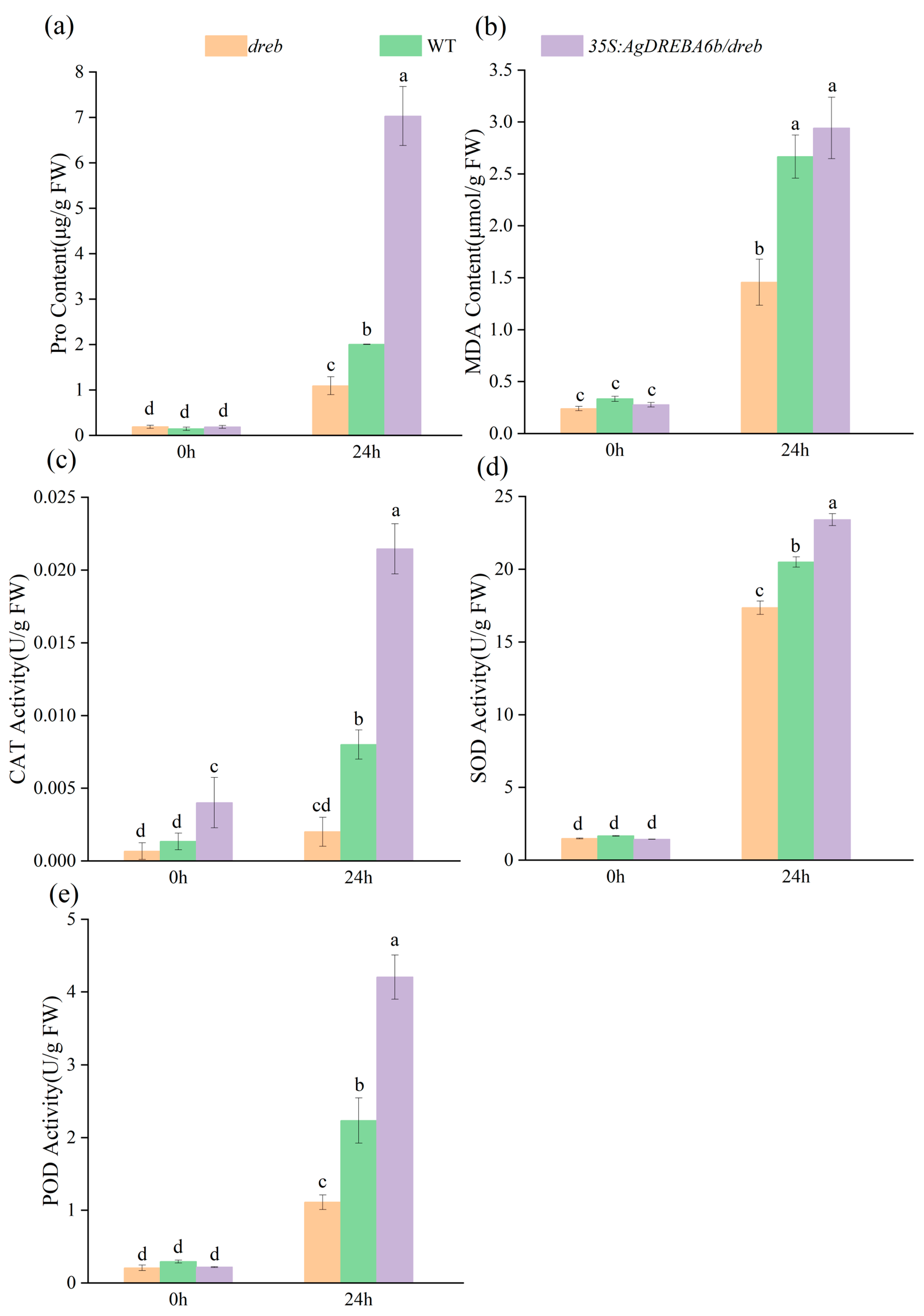 Agronomy 15 01565 g005