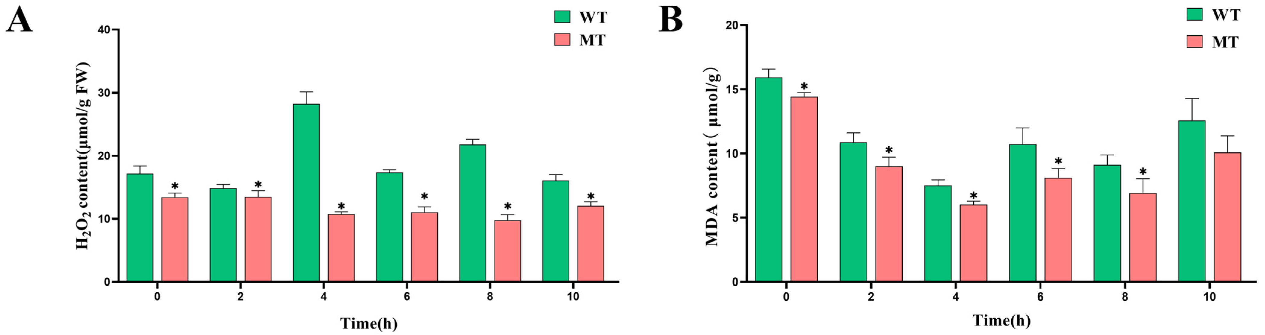 Agronomy 15 01570 g005