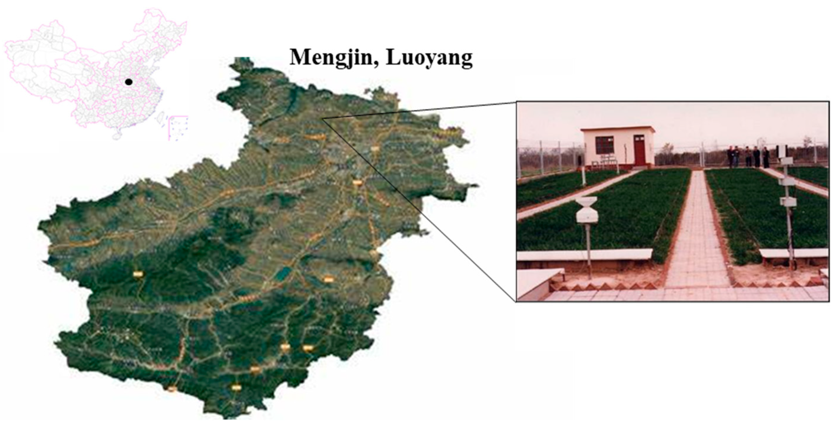 Agronomy 15 01571 g001