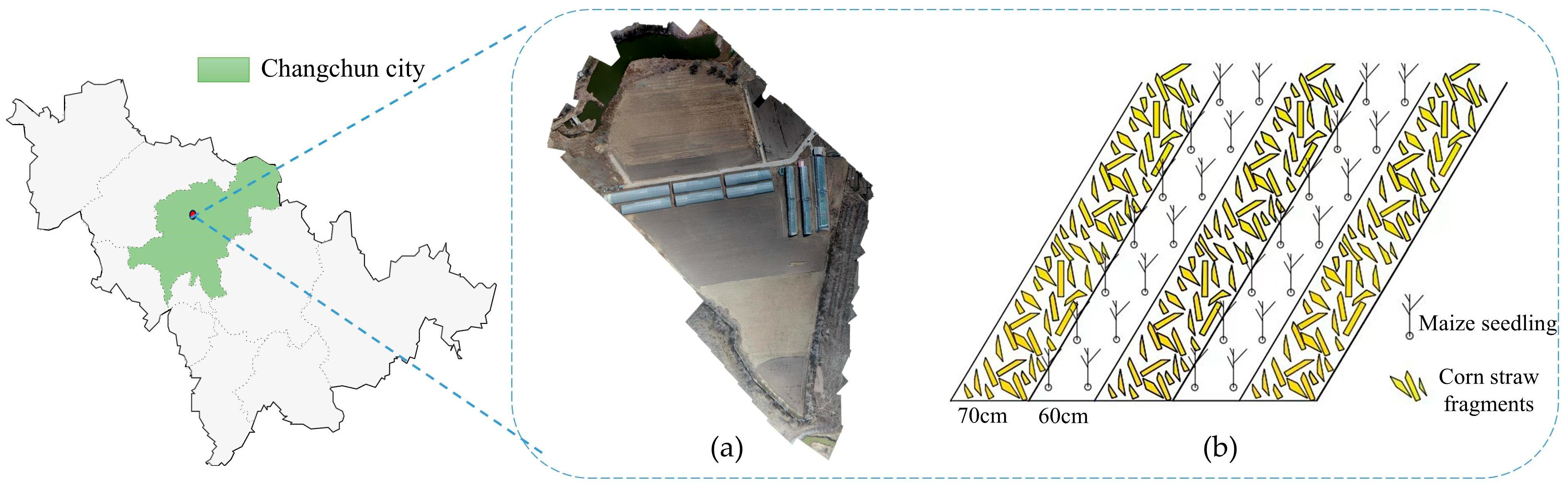 Agronomy 15 01575 g001