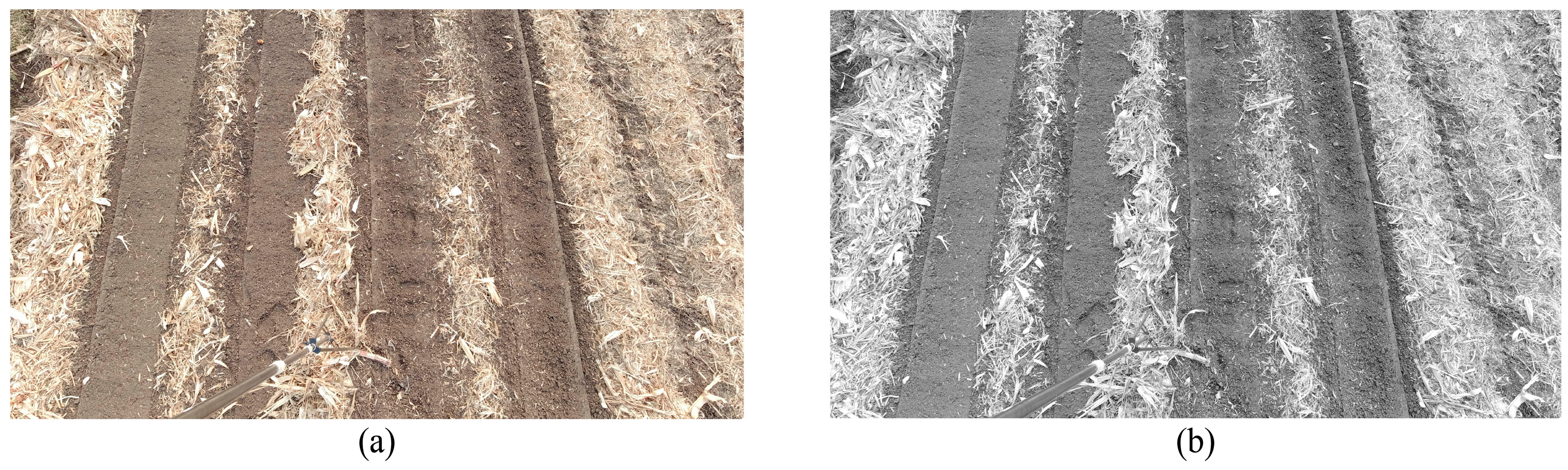 Agronomy 15 01575 g004