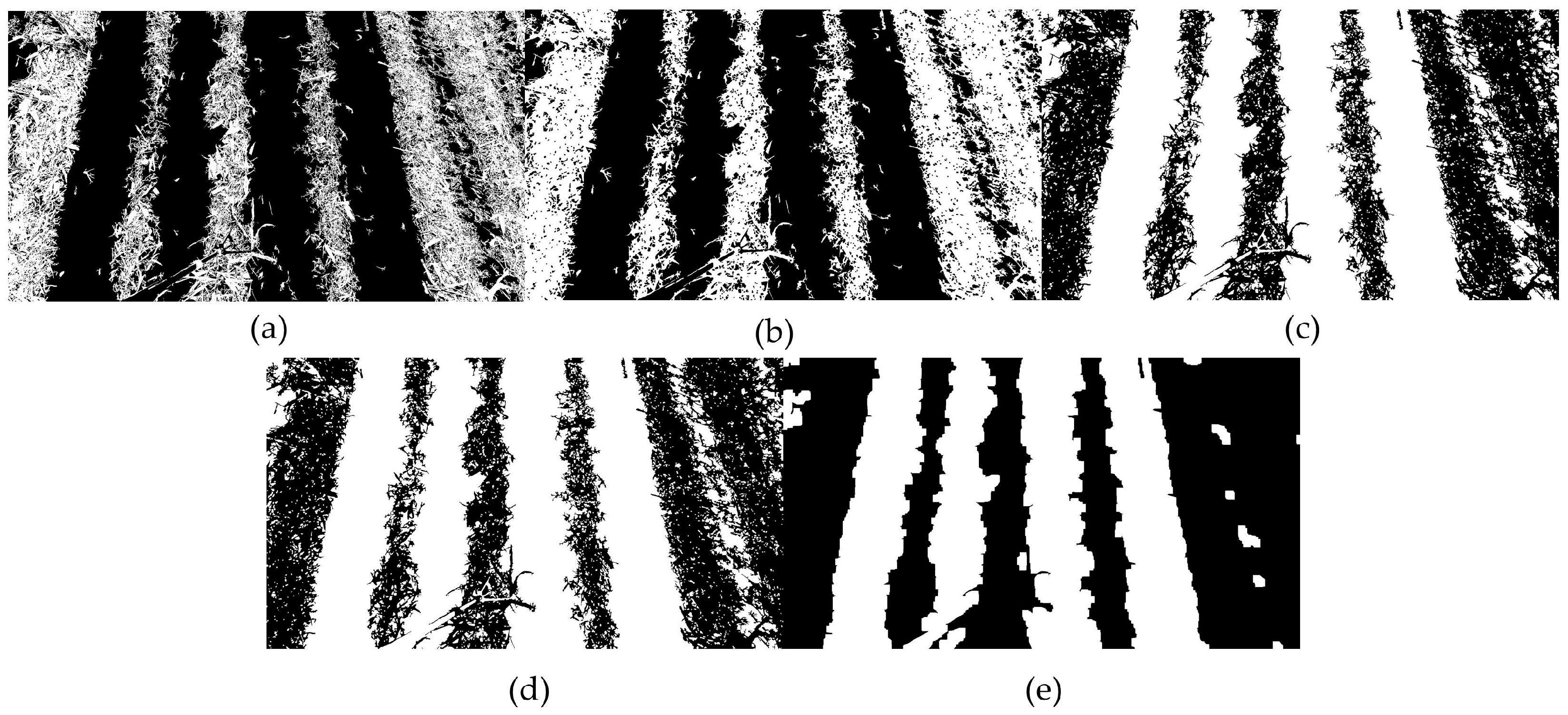 Agronomy 15 01575 g007