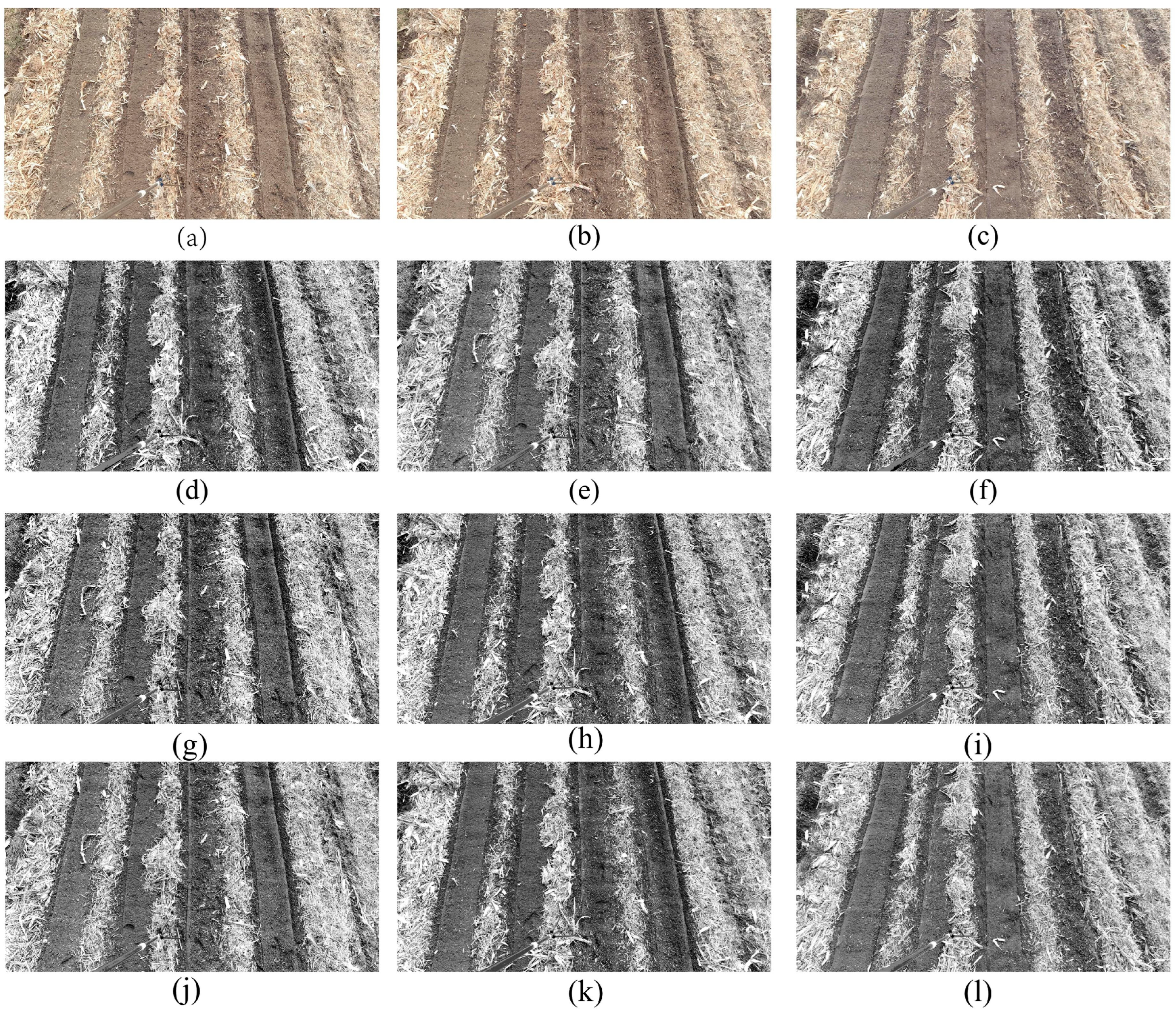 Agronomy 15 01575 g008