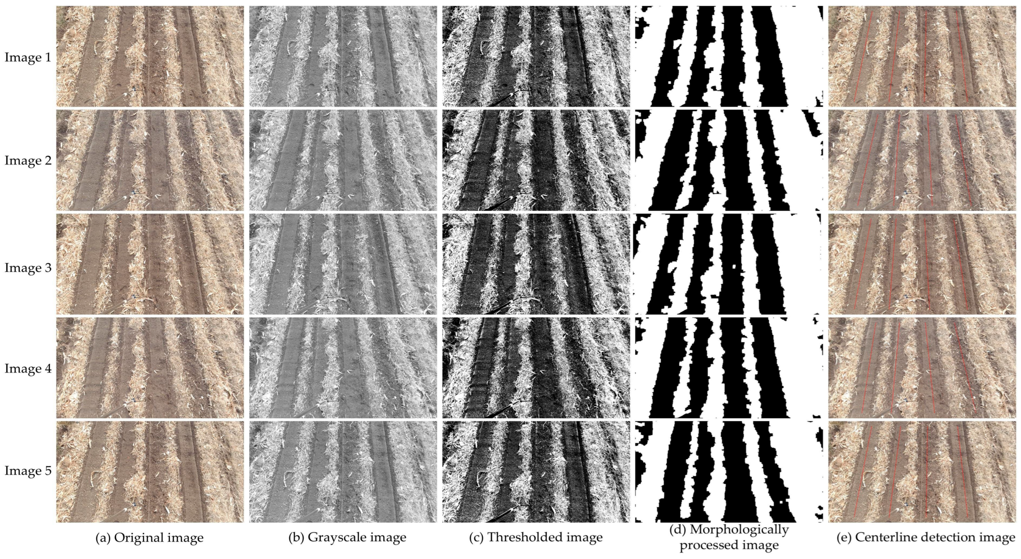 Agronomy 15 01575 g010