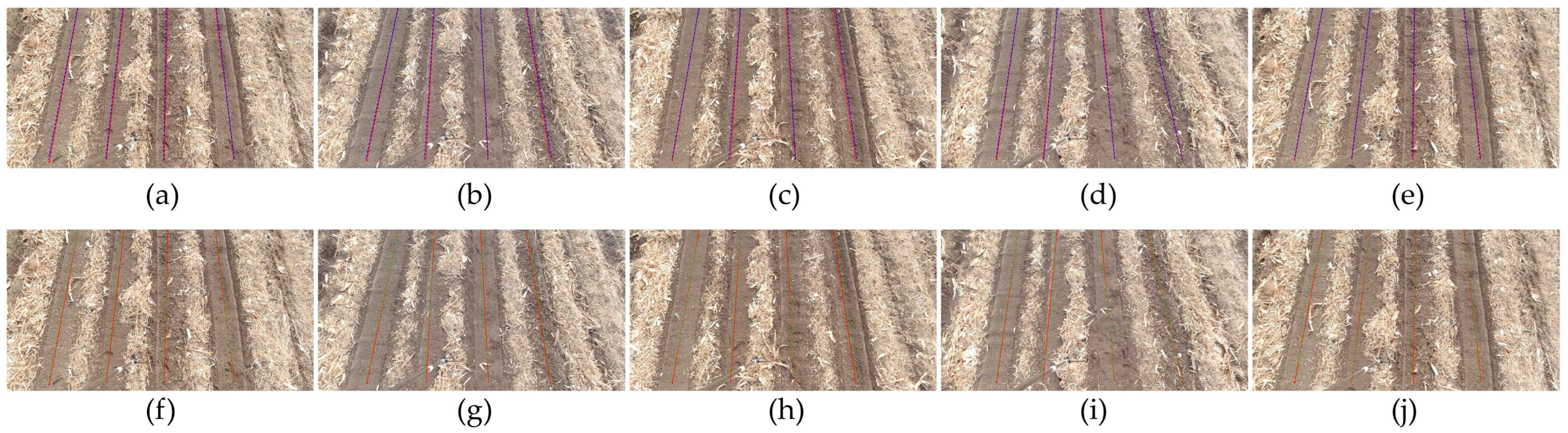 Agronomy 15 01575 g011