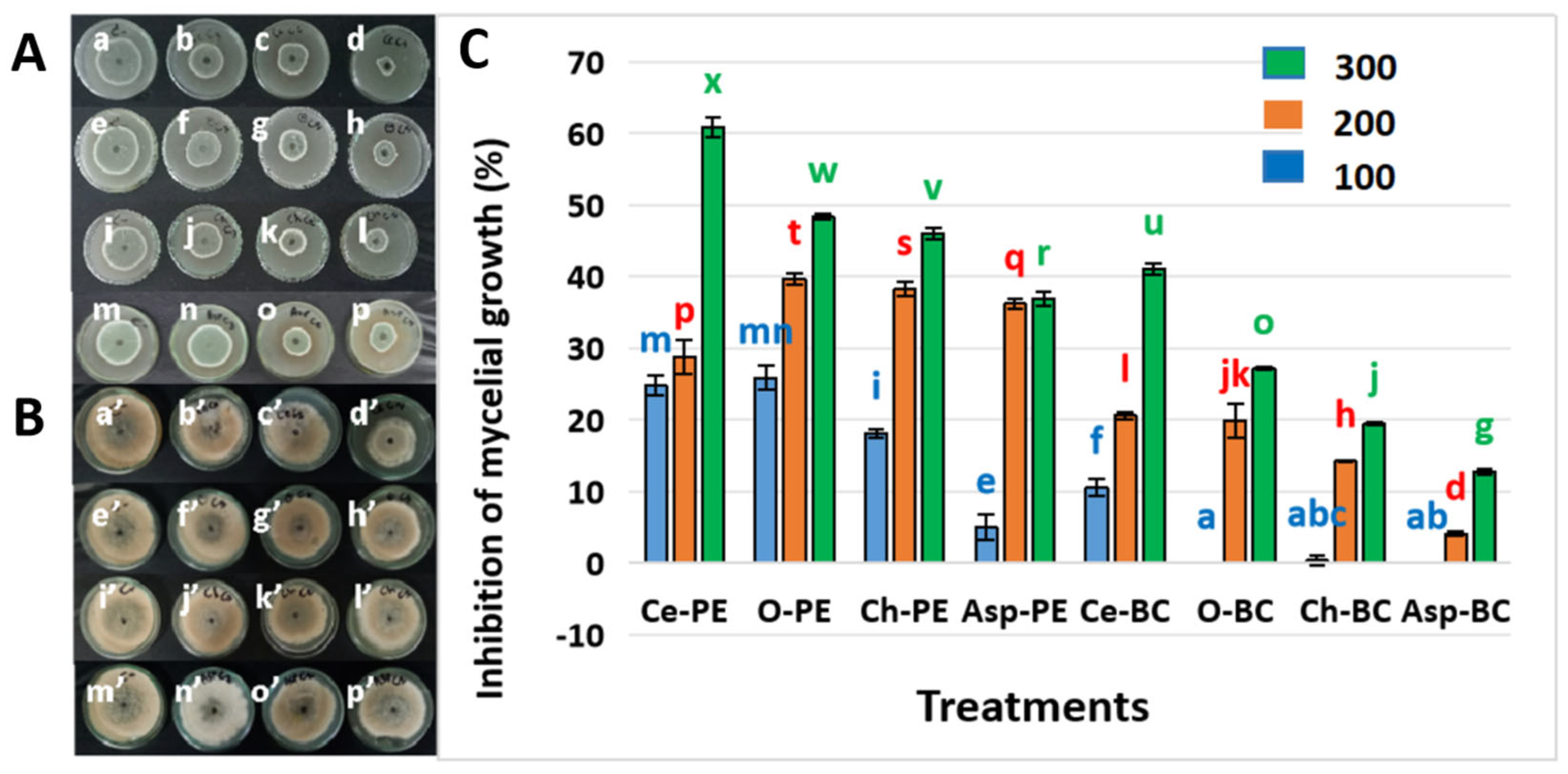 Agronomy 15 01577 g001