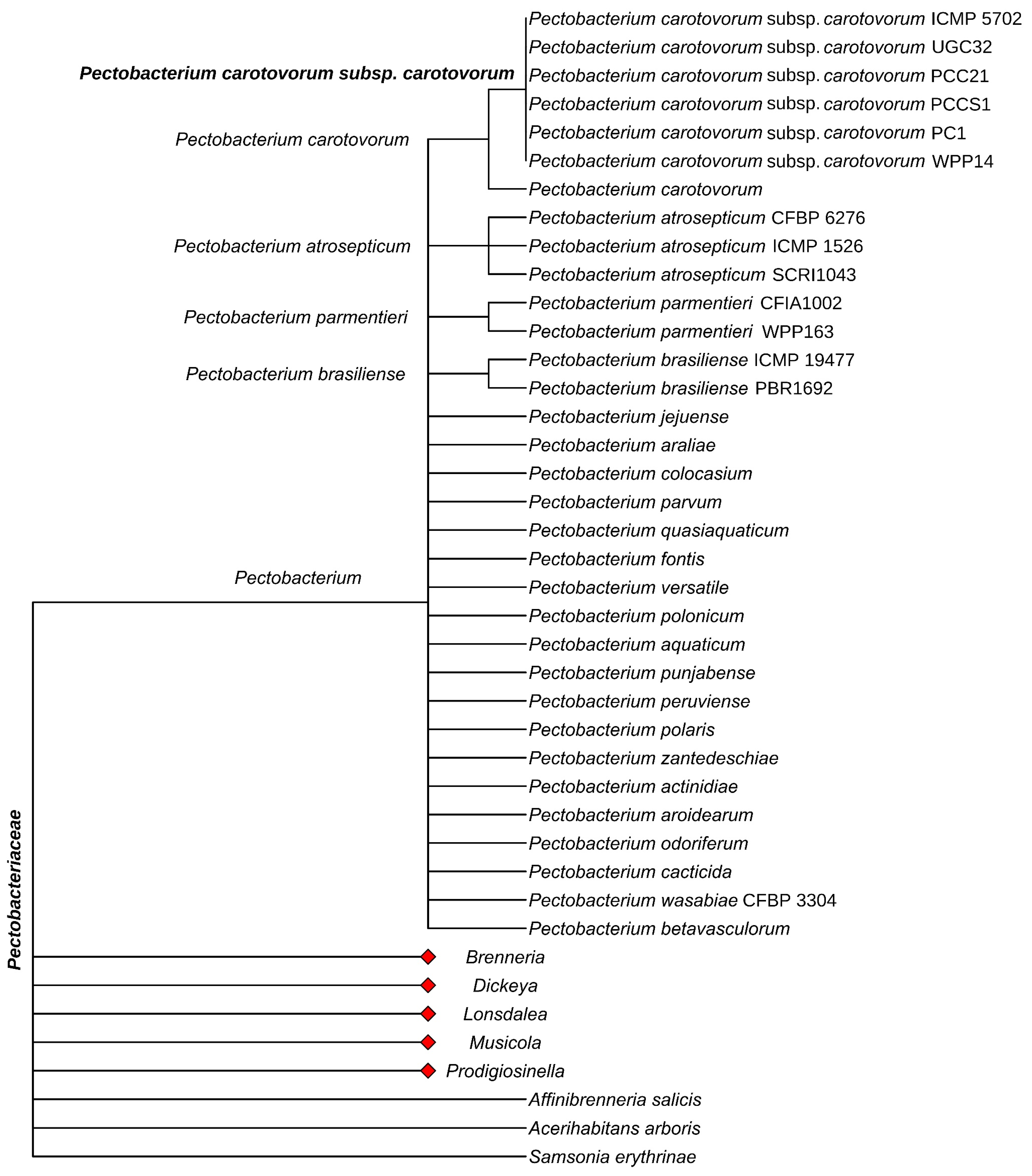 Agronomy 15 01578 g001