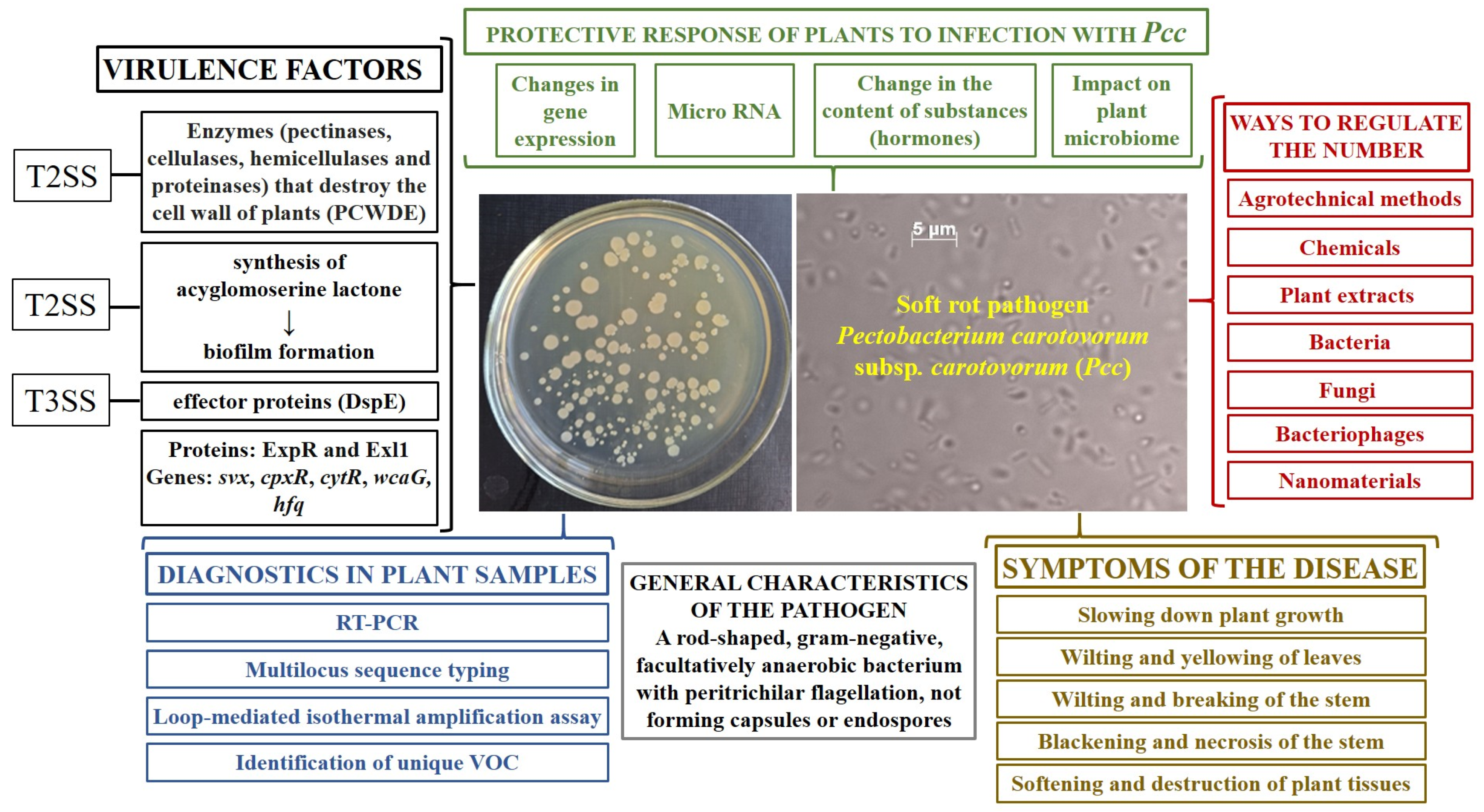 Agronomy 15 01578 g002