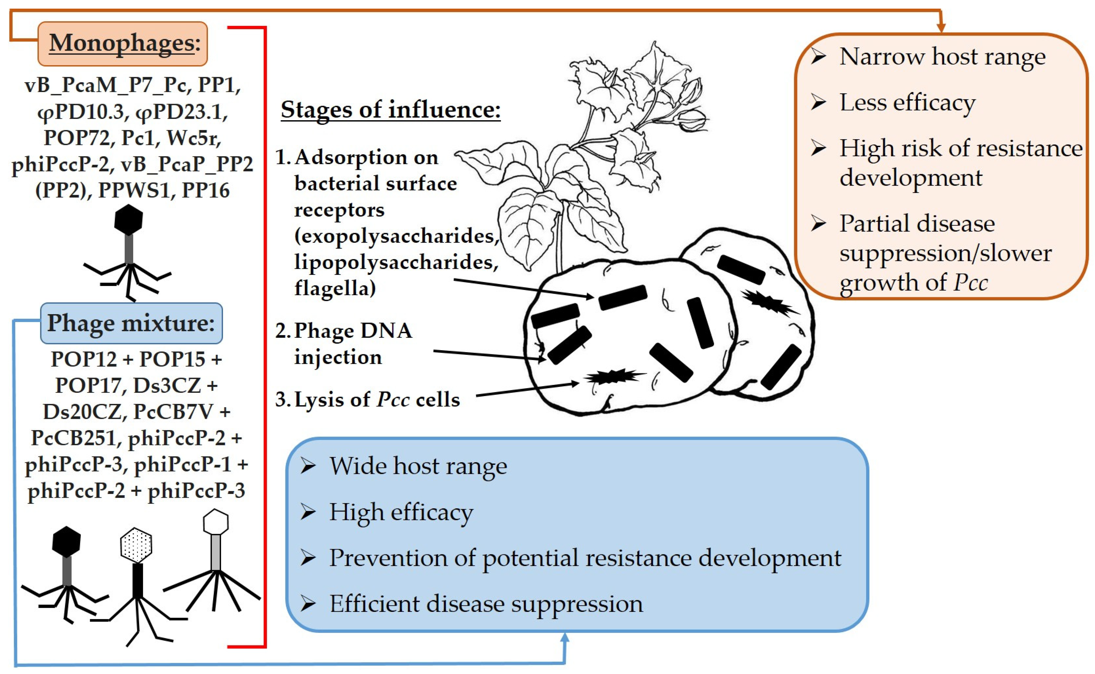 Agronomy 15 01578 g003