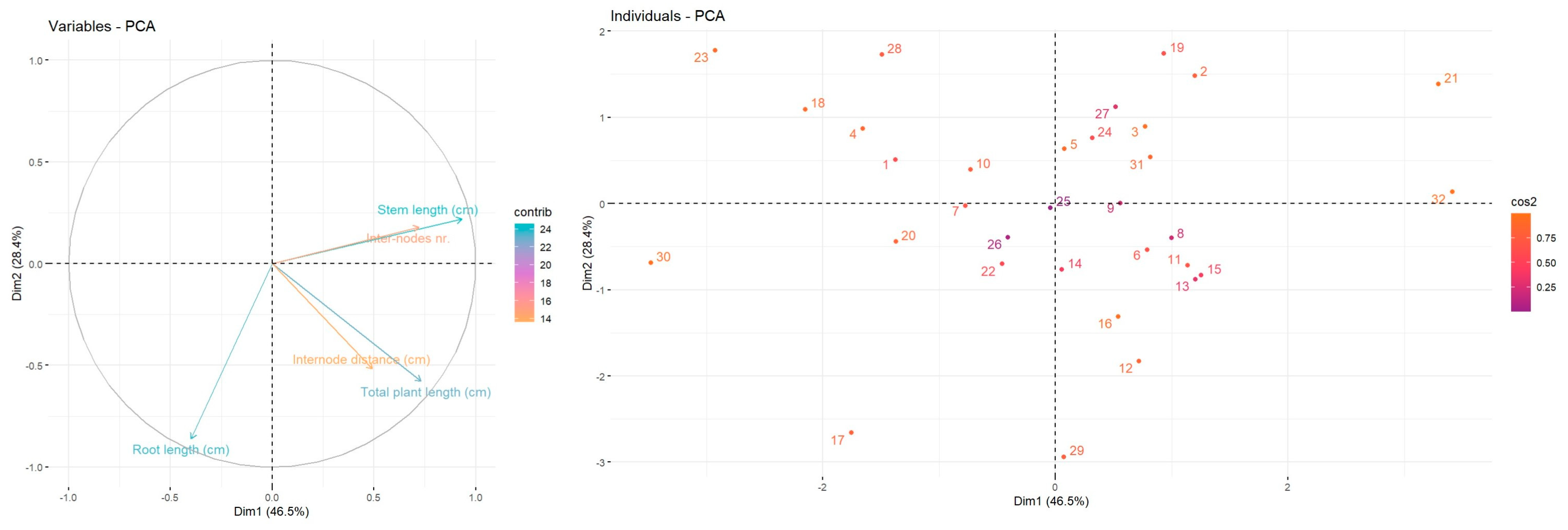 Agronomy 15 01584 g004