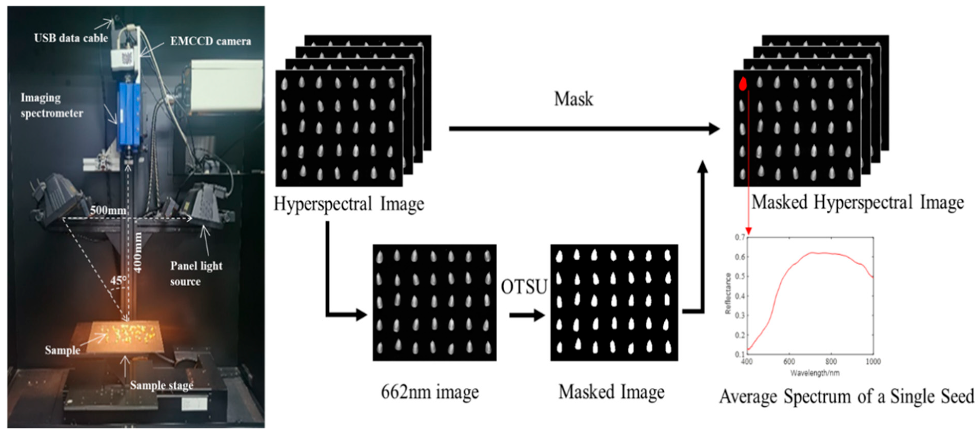 Agronomy 15 01585 g001 Agronomy 15 01585 g001