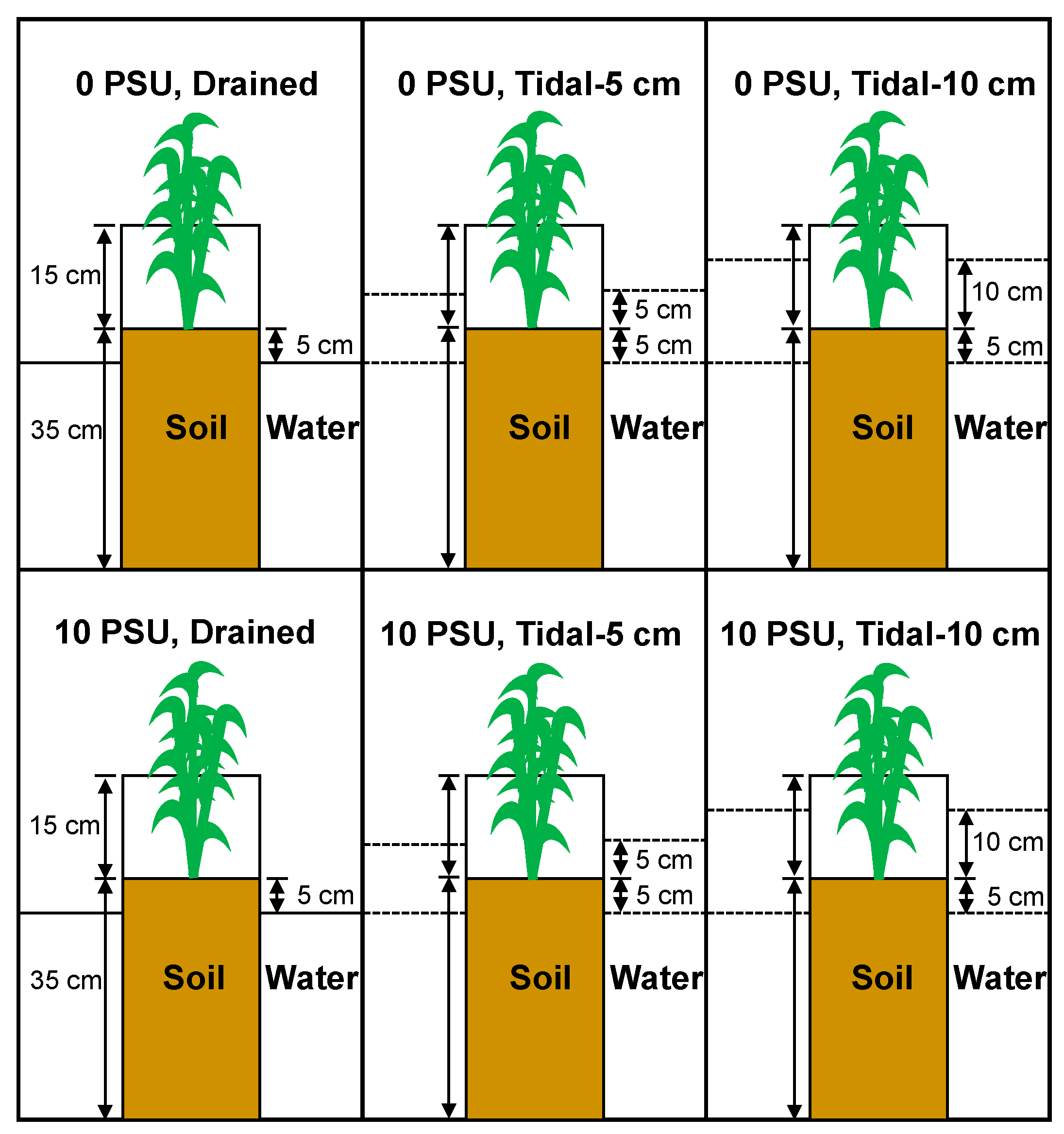 Agronomy 15 01587 g001